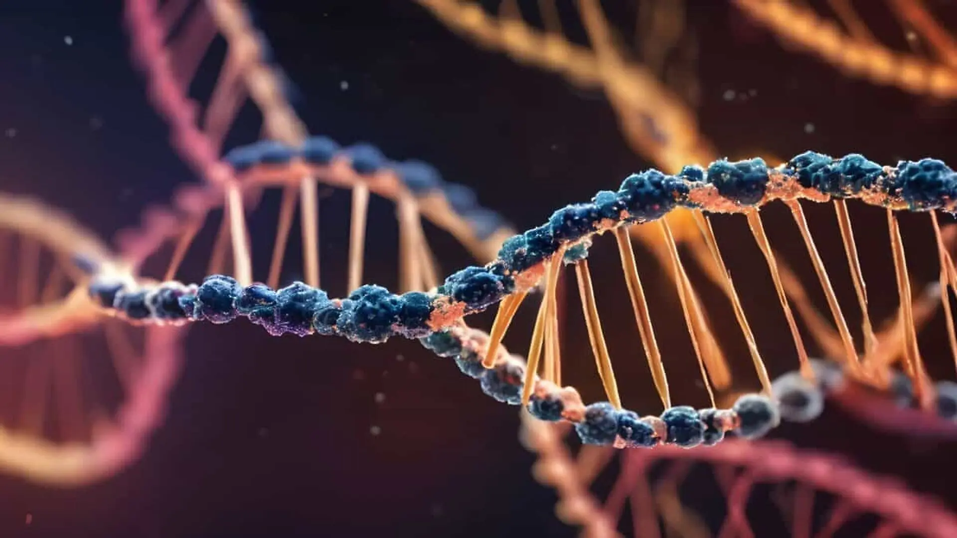 Dna Scaled