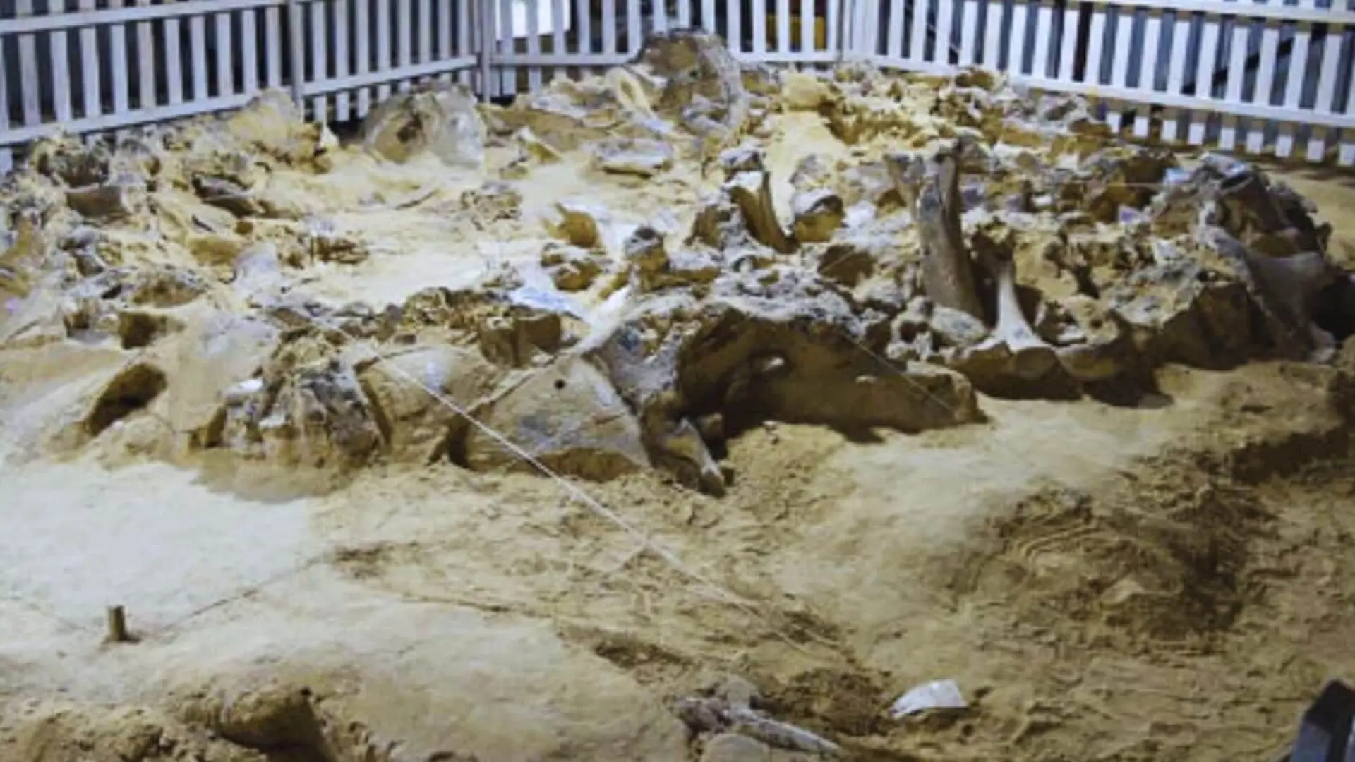 These Year Old Circular Mammoth Bone Homes Discovered In Ukraine May Have Been Used For Centuries Scaled