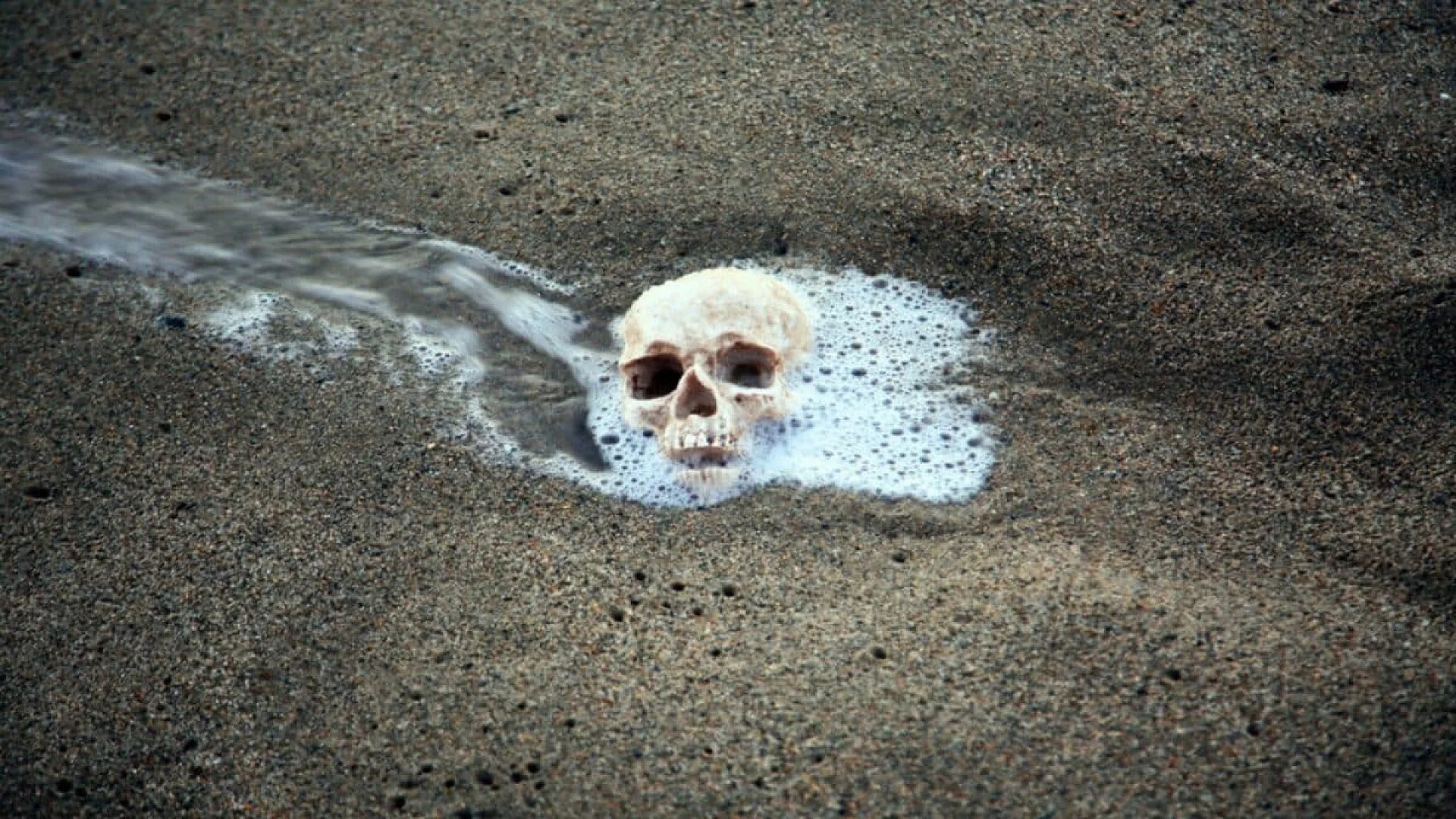 It Took 30 Years To Learn Whose Bones They Were Scaled