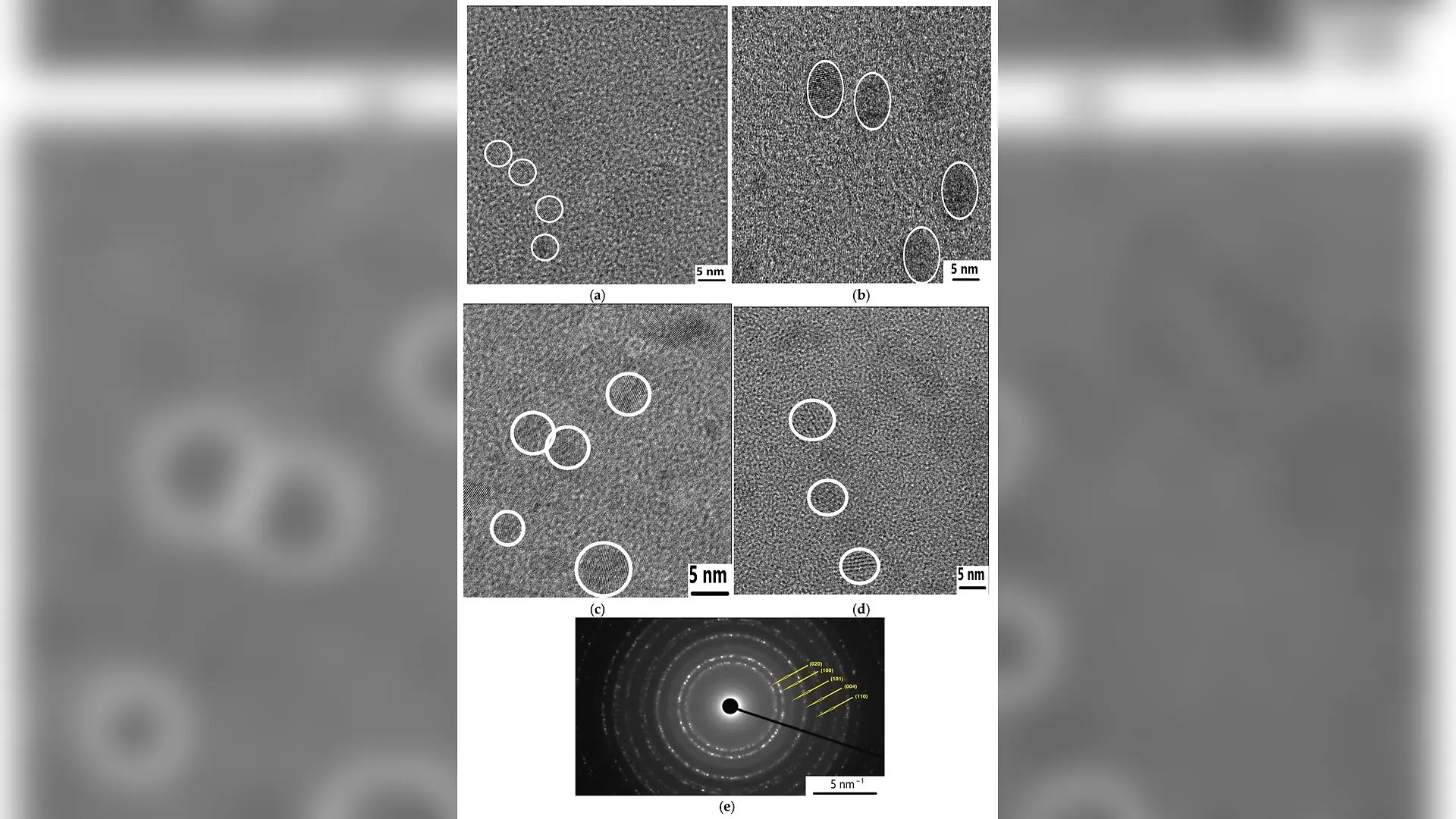 Mediterranean Herb Leaves Converted Into Glowing Antibacterial Nanodots