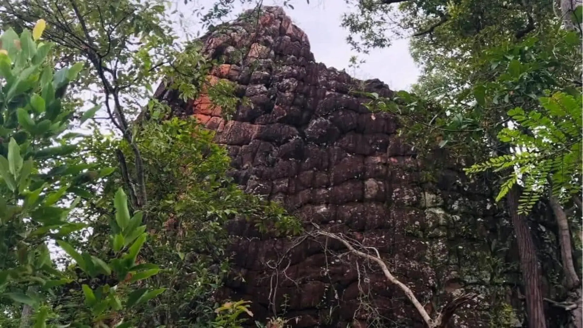 During A Routine Forest Patrol Rangers Stumbled Upon A Hidden Thai Cave With Year Old Petroglyphs Scaled