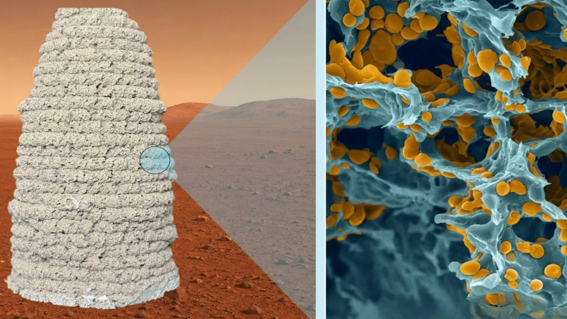 Scientists Create A Living Material That Could 3d Print The First Homes On Mars Scaled