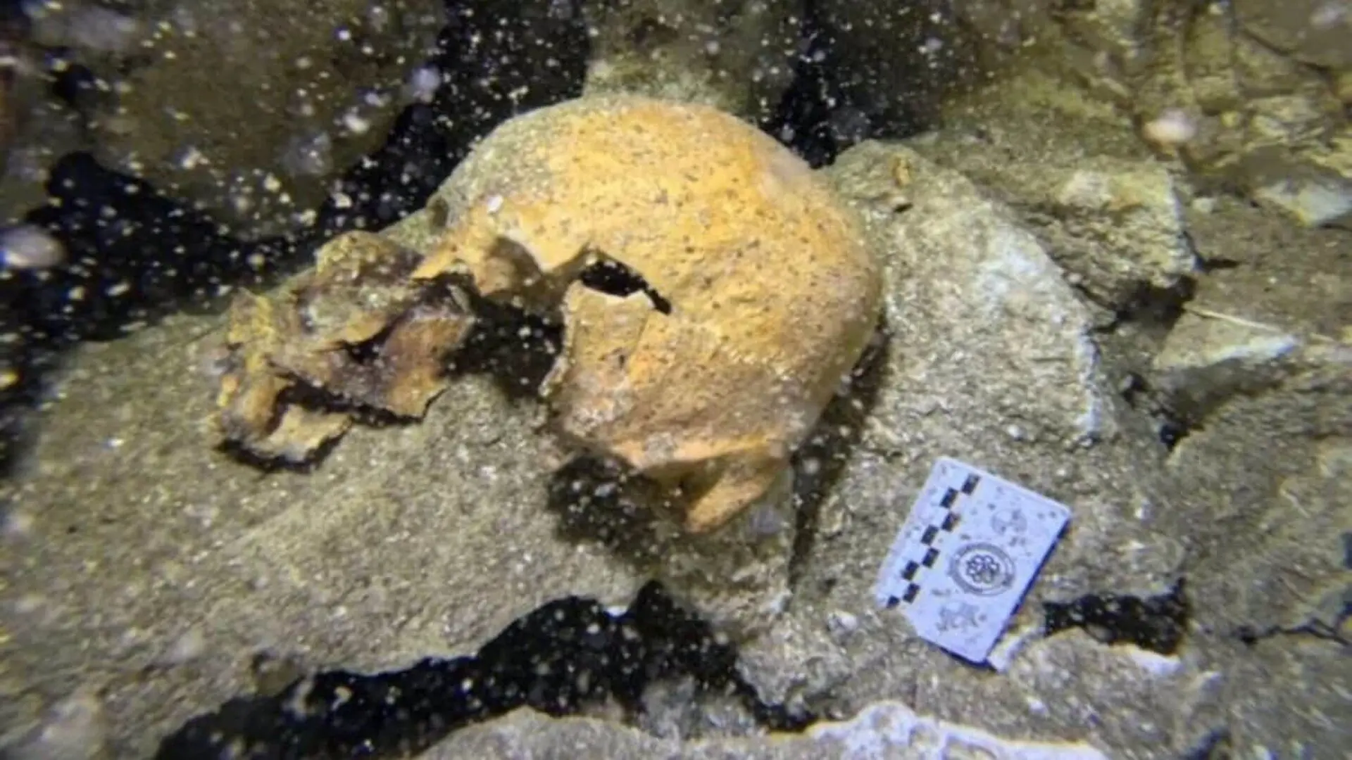 Divers Entered A Deep Mexican Cenote And Found Human Remains That Had Been Hidden For Centuries Scaled