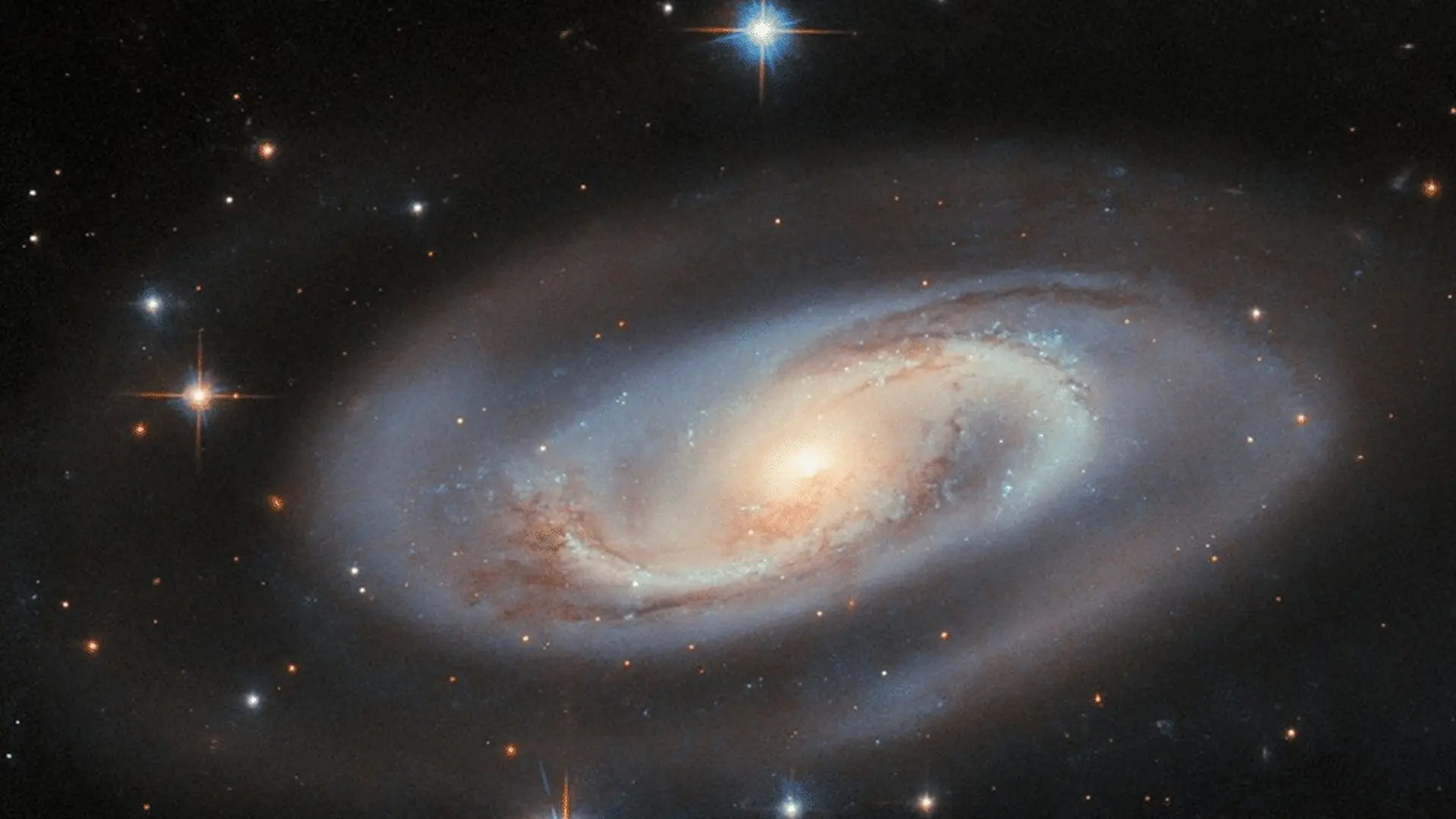 Stellar Collisions May Have Helped Form The First Massive Black Holes Scaled