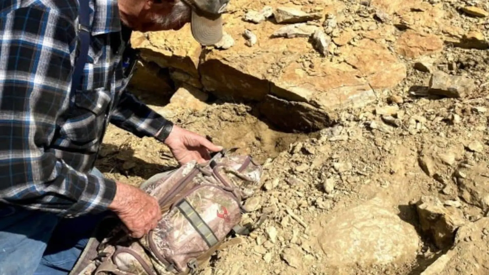 This Fossil Hunter Went Looking For Ancient Remains In Wyoming And Came Back With A 160 Million Year Old Cousin Of The Squid Scaled 1