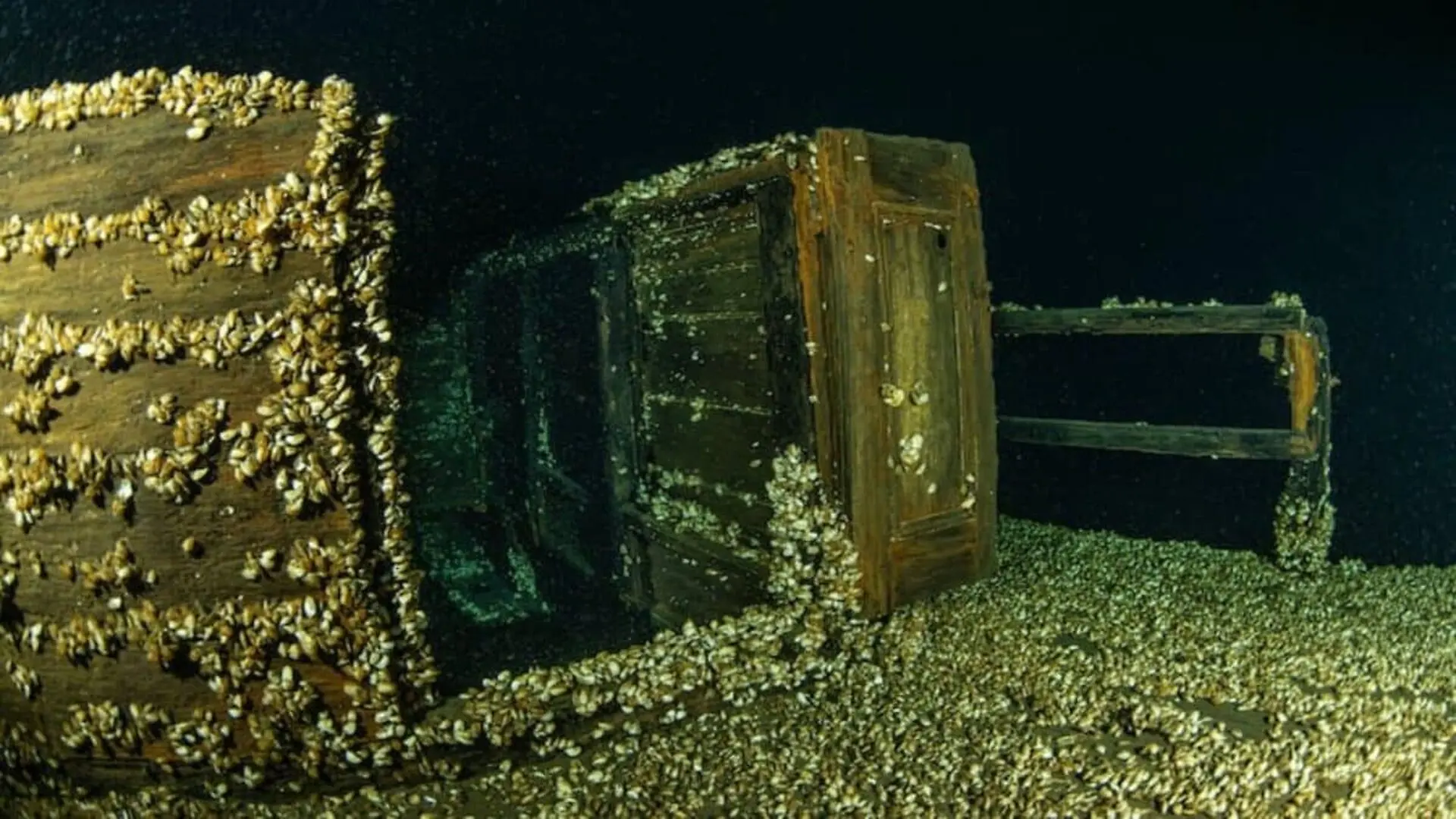 Divers Descended 300 Feet Into Lake Ontario And Found A Remarkably Preserved Shipwreck With Both Masts Still Standing Scaled