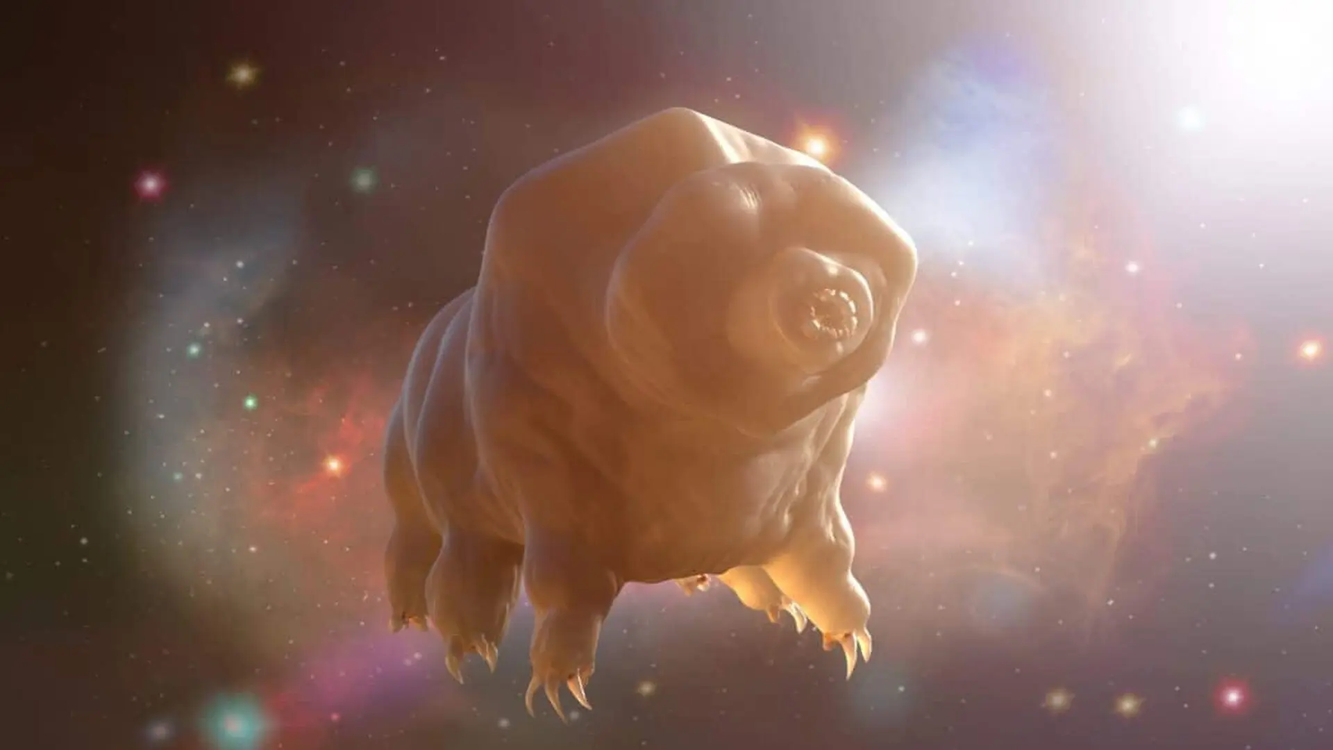 3d Render Of A Tardigrade In Space Scaled