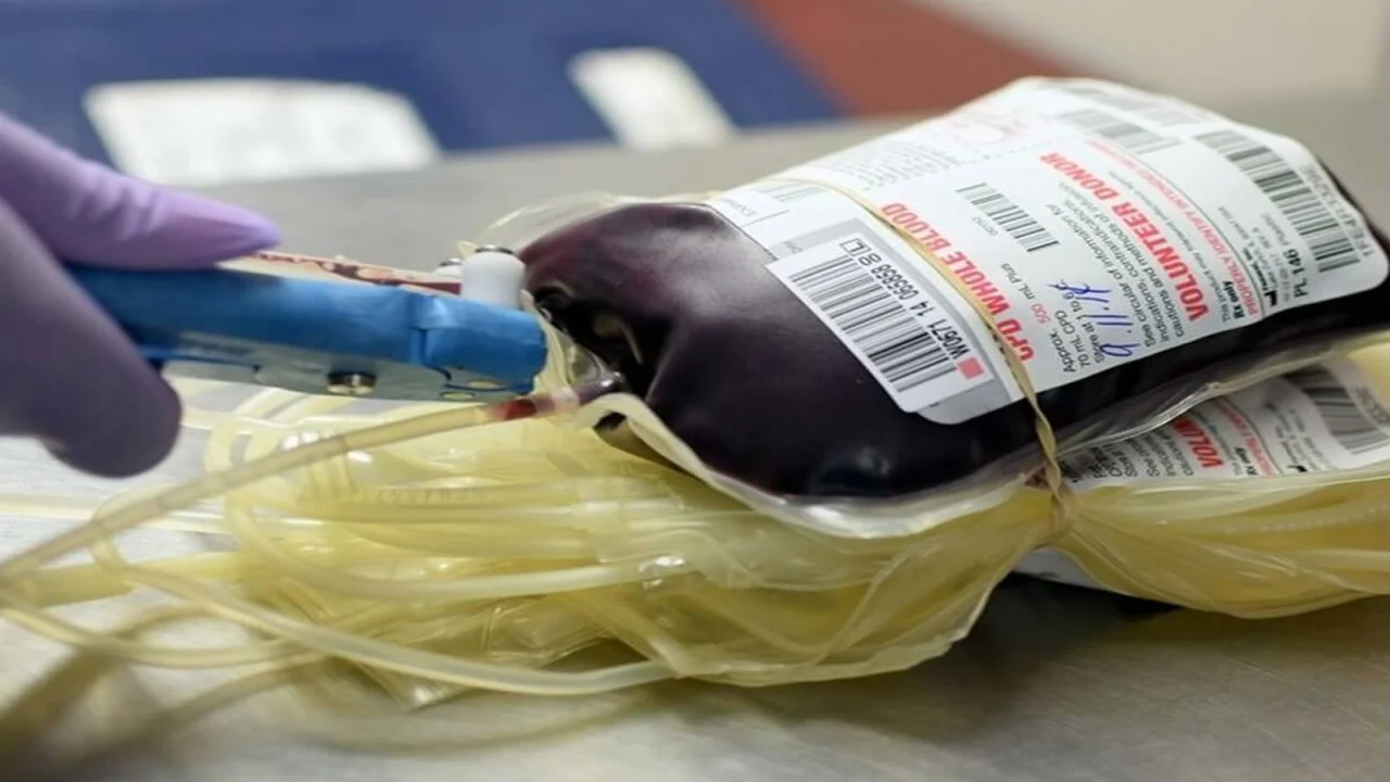 Blood Bags