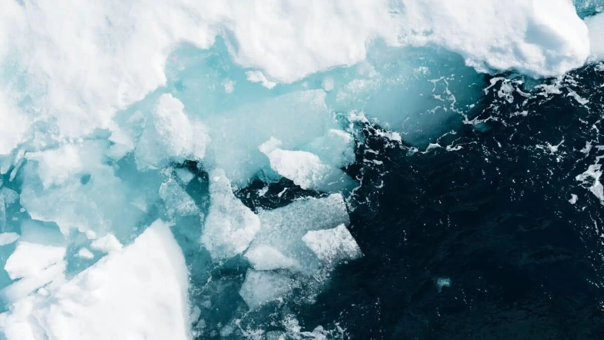 A 76 Square Kilometer Iceberg Broke Free From Greenlands Glacier But The Biggest Surprise Came After It Drifted Away Scaled