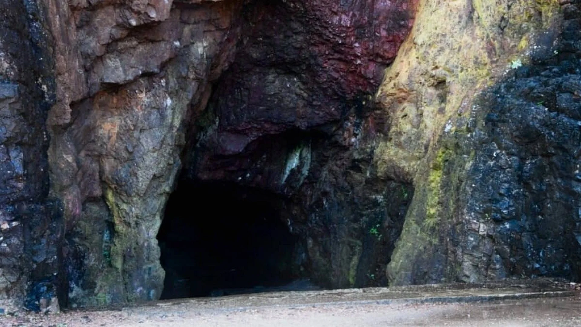 A Boy Followed His Dog Into A Hidden Cave And Exposed Ice Age Art Scaled
