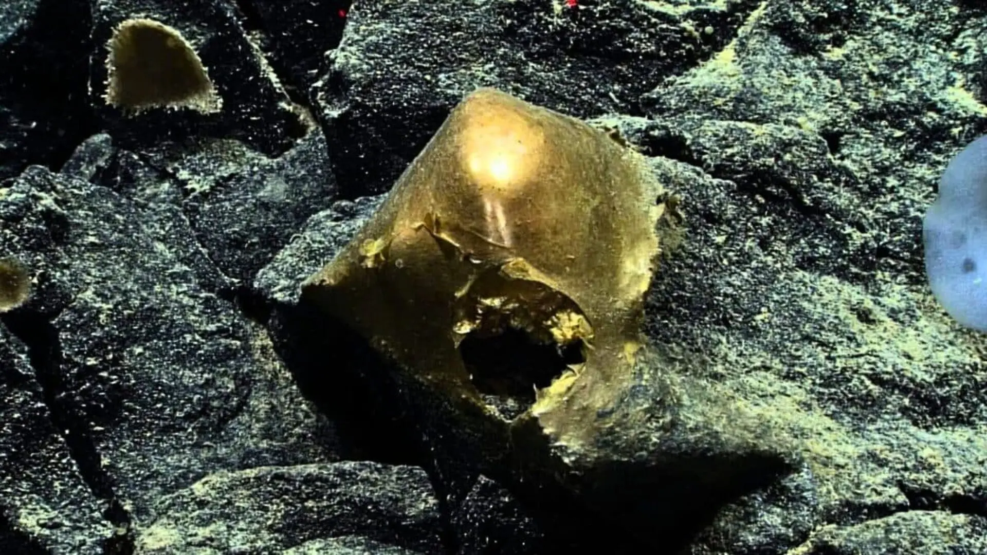 Researchers Cracked Noaas Golden Orb Mystery Scaled