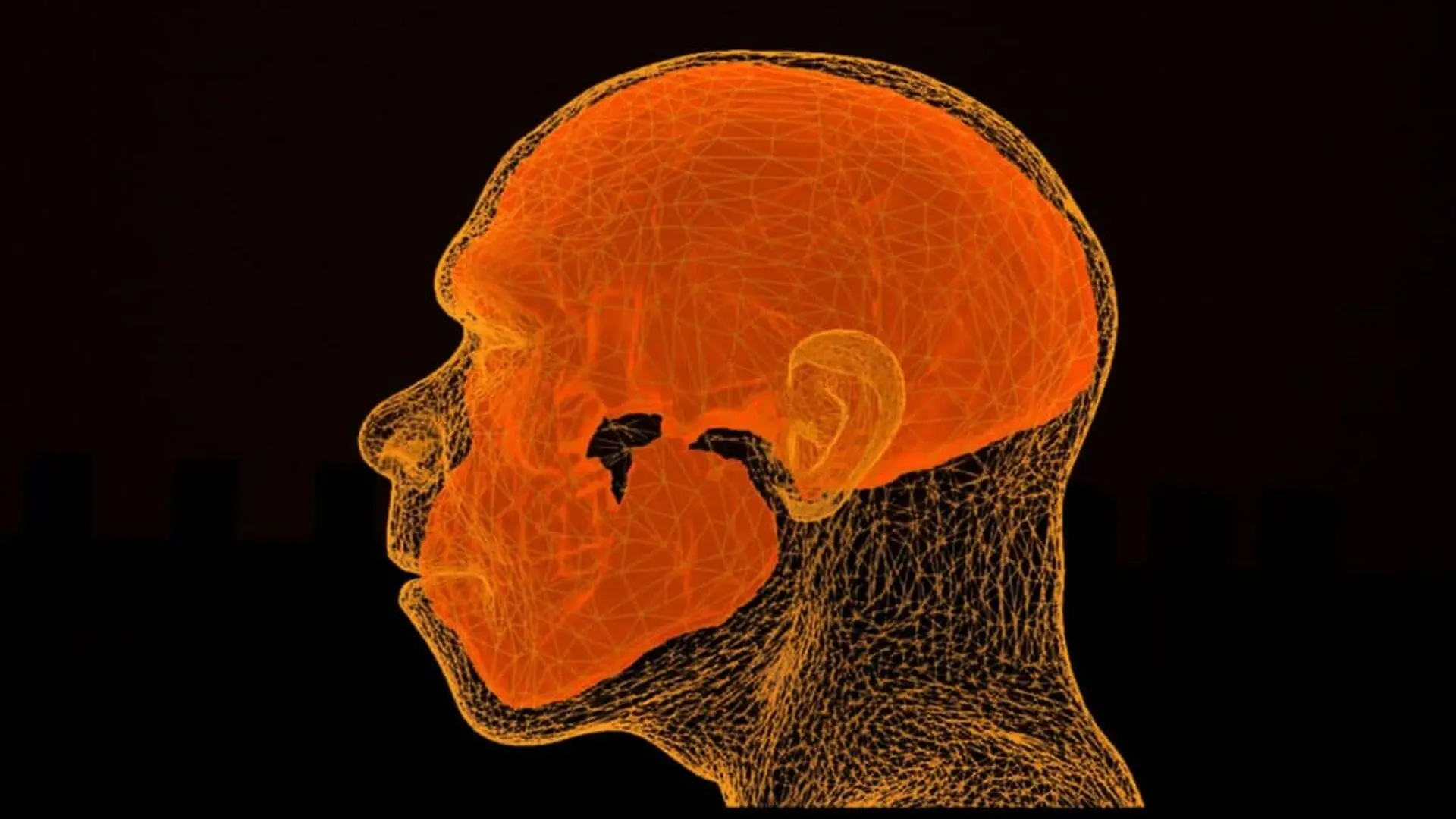 A Remarkable Skull Reconstruction Offers A New Window Into The First Homo Sapiens Scaled