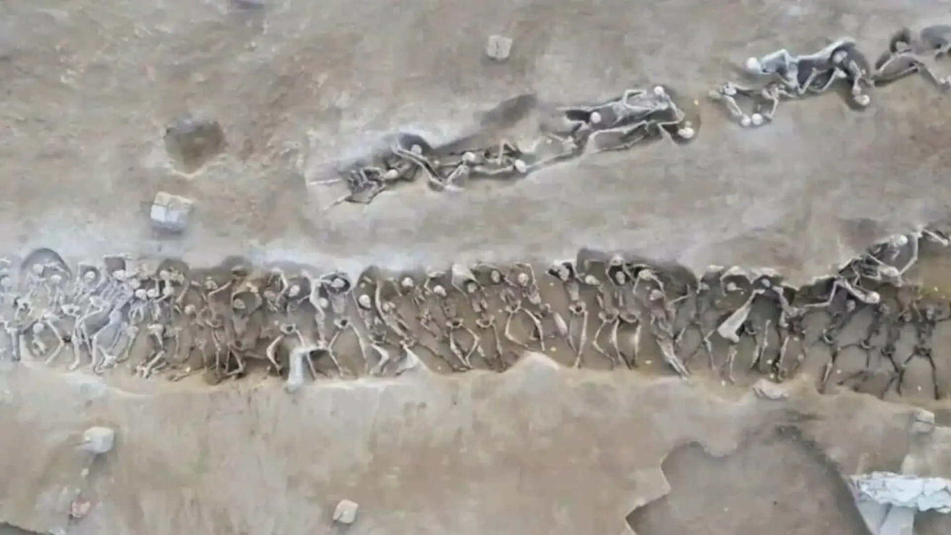79 Men Were Found Chained In An Ancient Athens Mass Grave And Their Teeth Just Revealed Who They Were Scaled