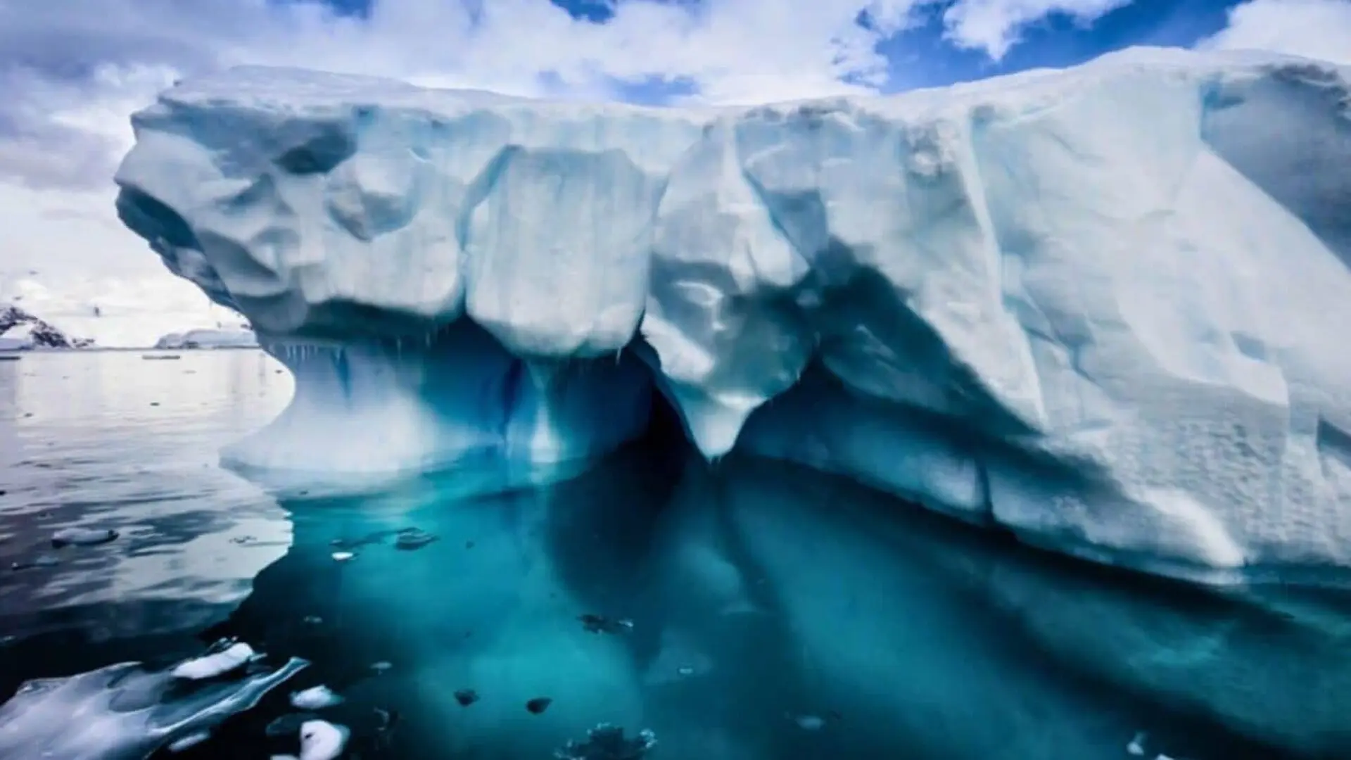 A Vast 60 Million Nest Icefish Colony Is Still Holding Its Ground Far Below The Ice Scaled