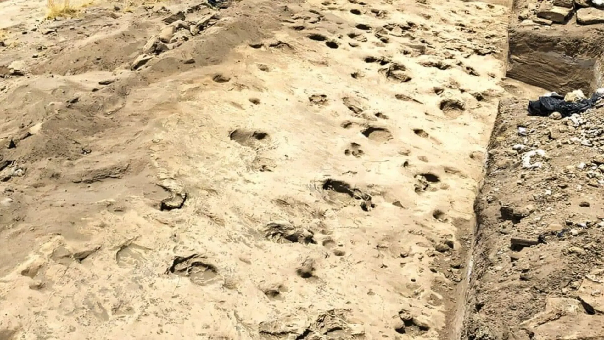 An Ancient Lakeshore Preserved 1.43 Million Year Old Footprints Showing An Ancient Human Relative Traveled In All Male Groups Scaled