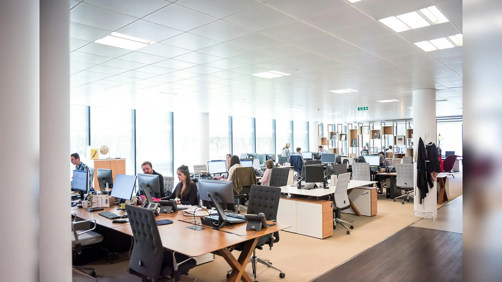 Why Modular Organisations Outpace Traditional Bureaucracies
