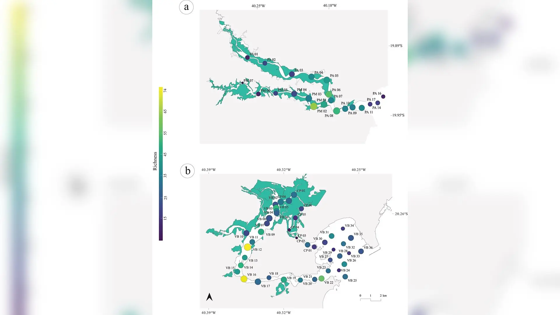 Tropical Estuaries Reveal Surprising Pockets of Health Amid Urban Pollution