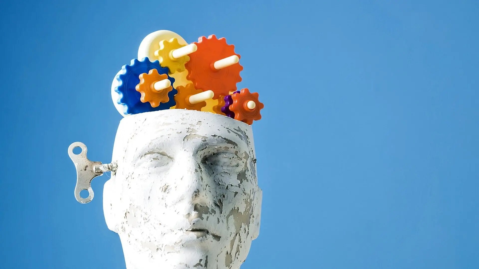 Gears in a mannequin brain.