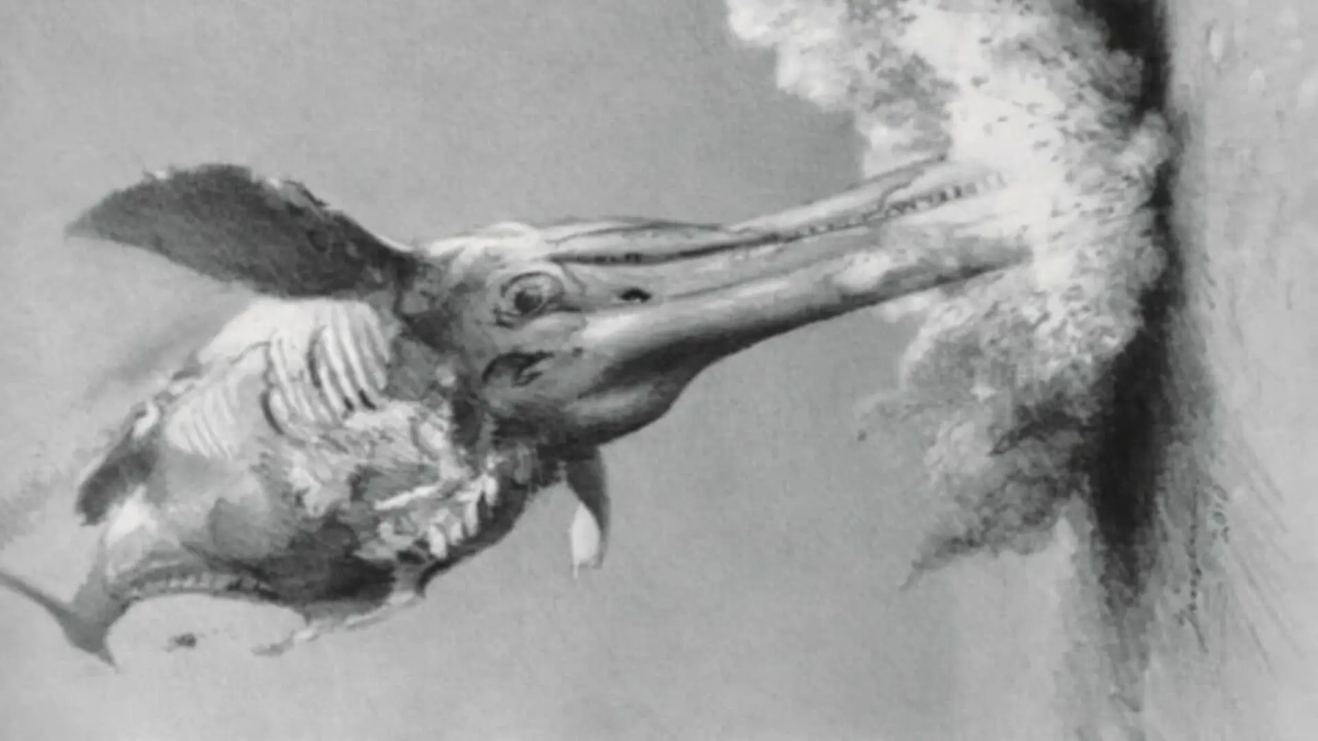 Australian Fossil Reveals A Three Level Food Chain Frozen In Time For 100 Million Years Scaled