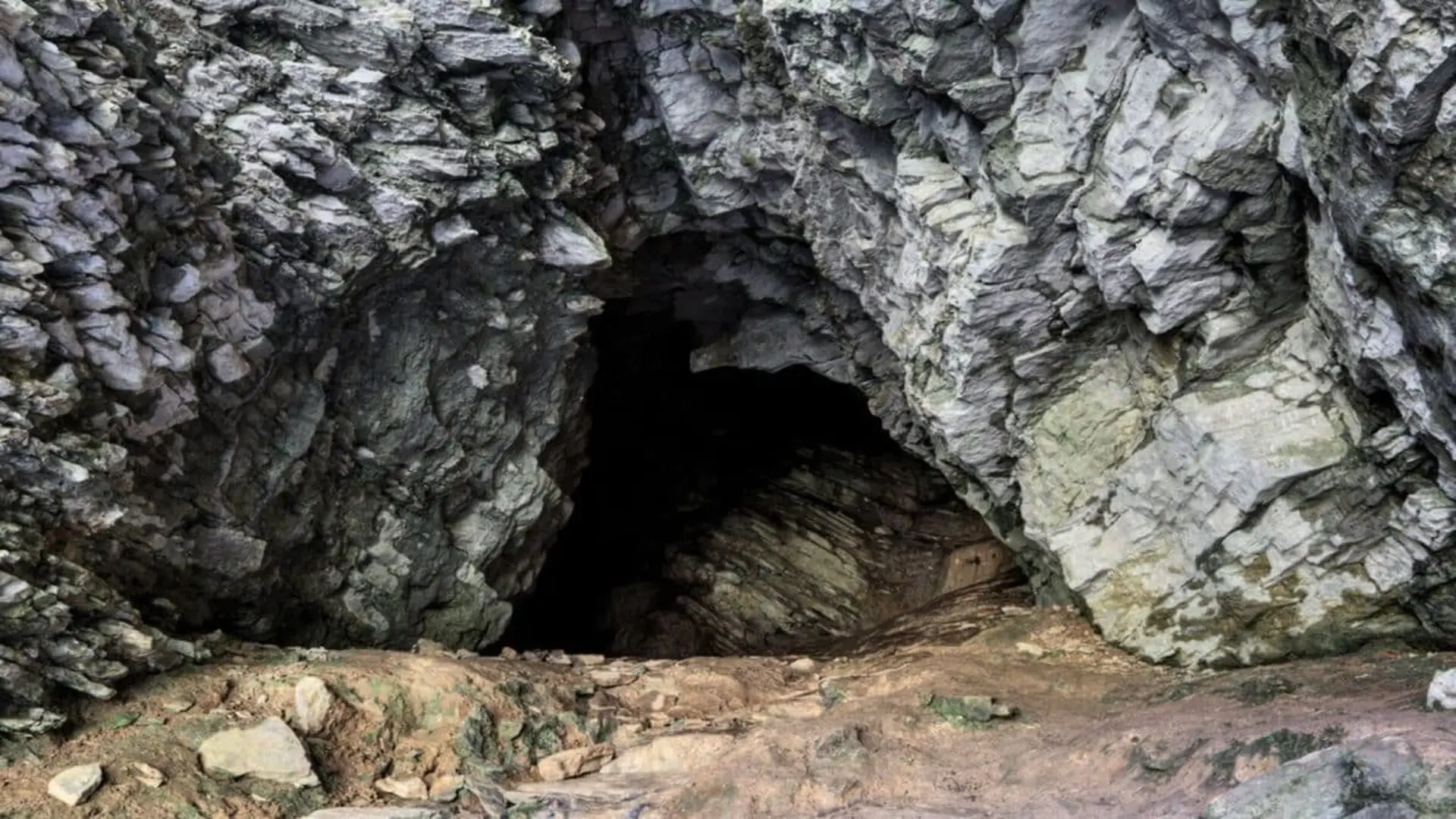 Ancient Artists Painted Giant Beasts Deep Underground Scaled