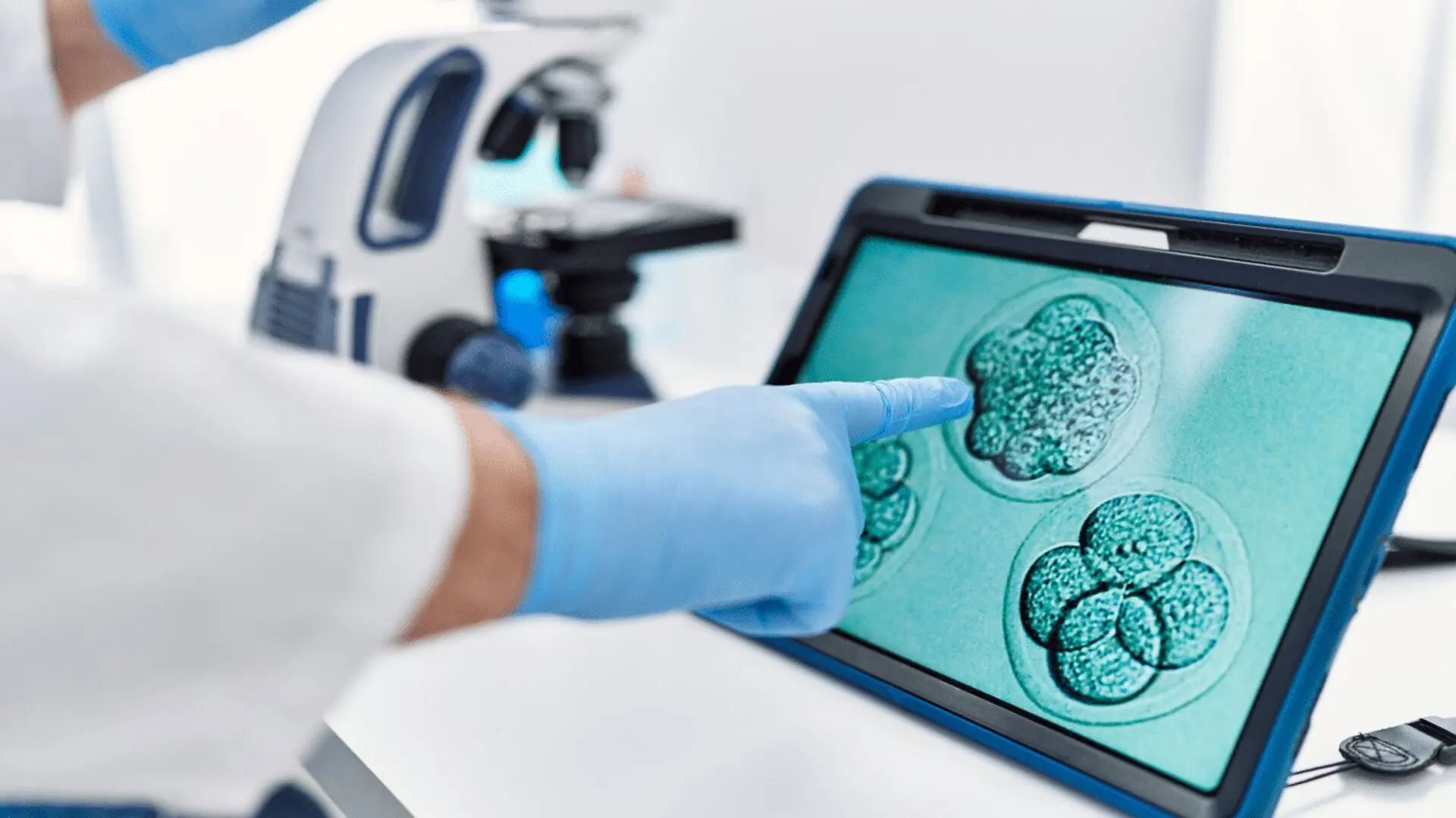 Researchers Identify The Genetic Switch That Controls The First Moments Of Human Life Scaled