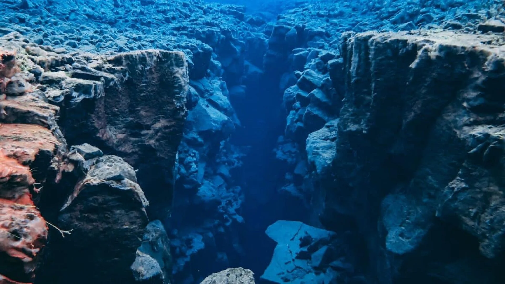 Scientists Just Discovered Hidden Brakes Beneath The Pacific That Stop Massive Earthquakes Scaled