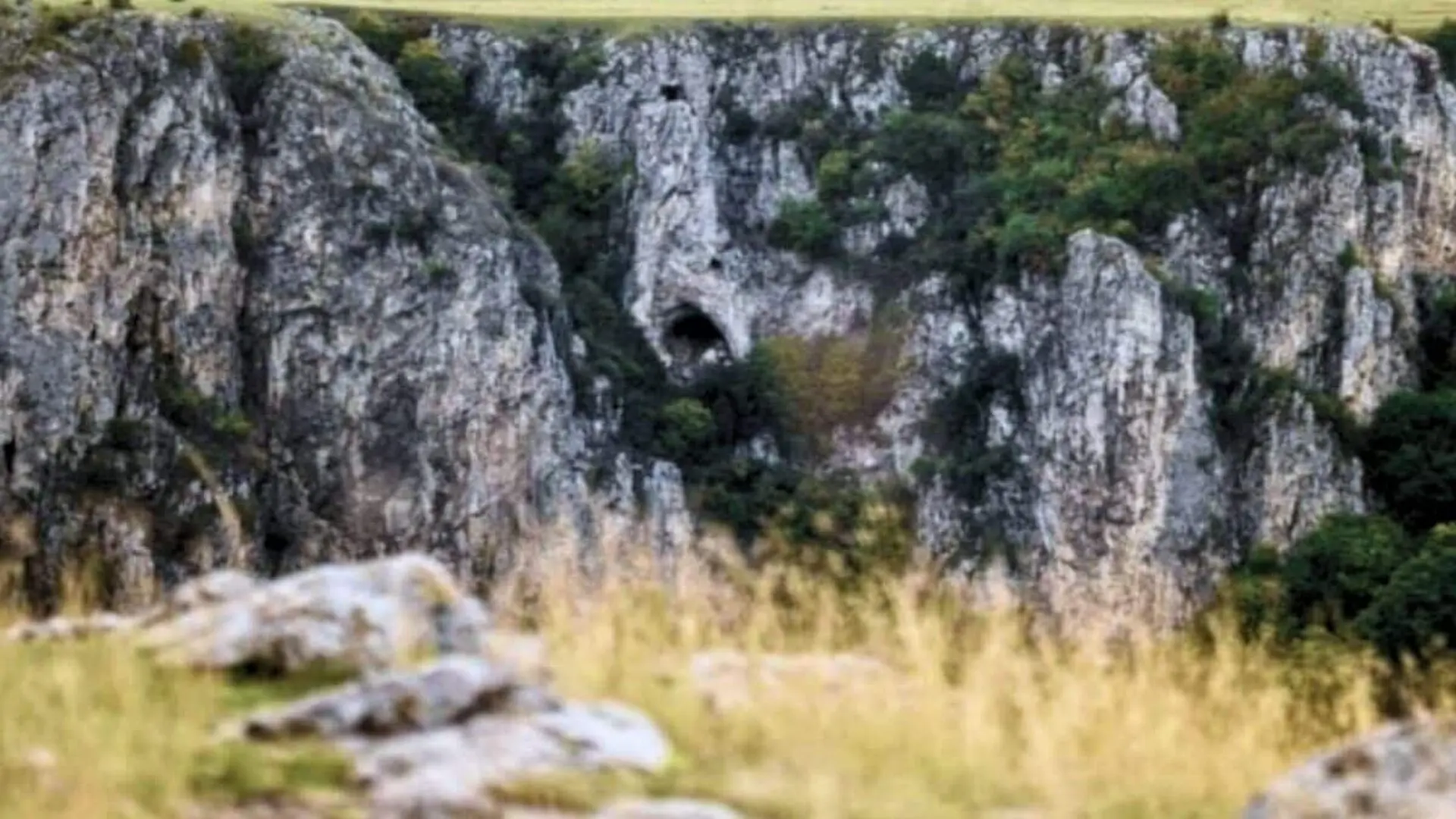 This Ancient Culture Built Huge Settlements Without Obvious Rulers Scaled