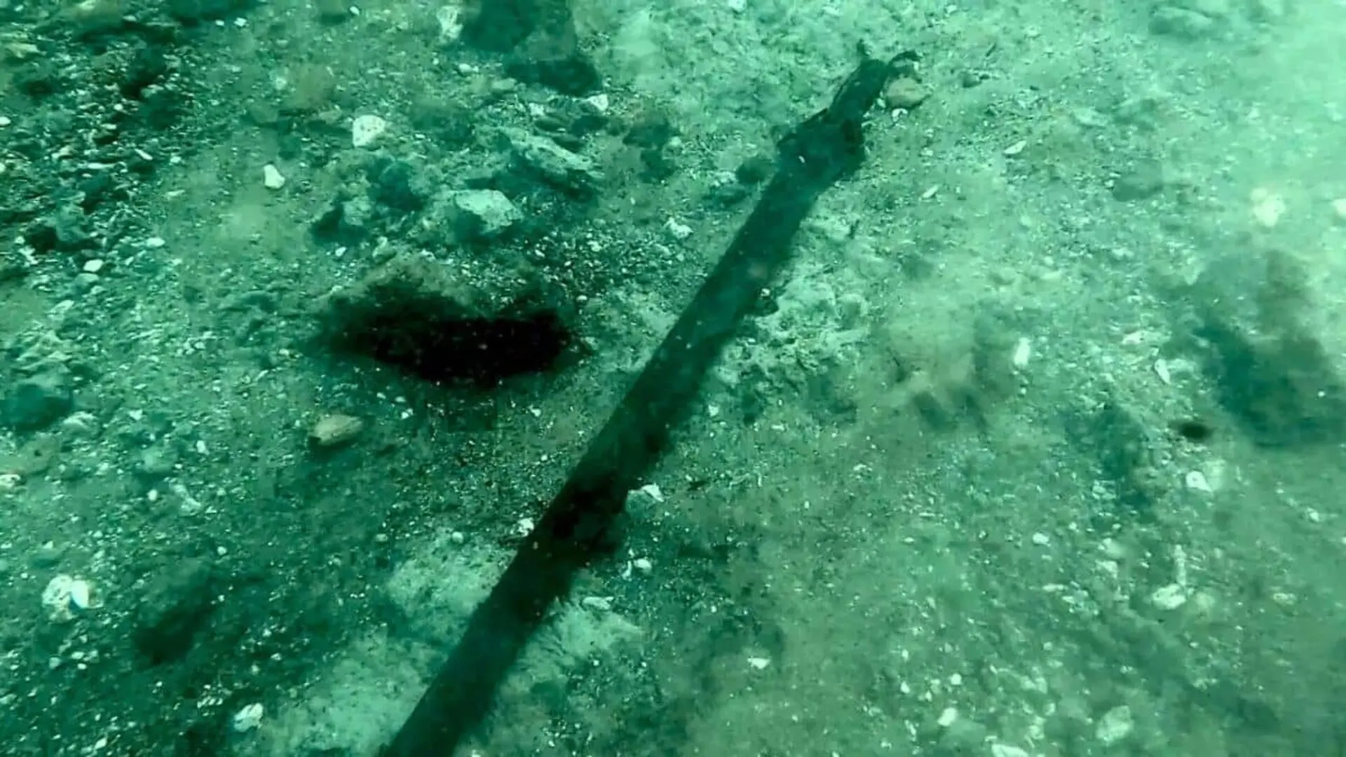 An Ancient Weapon Emerged With A Startling Detail Intact Scaled