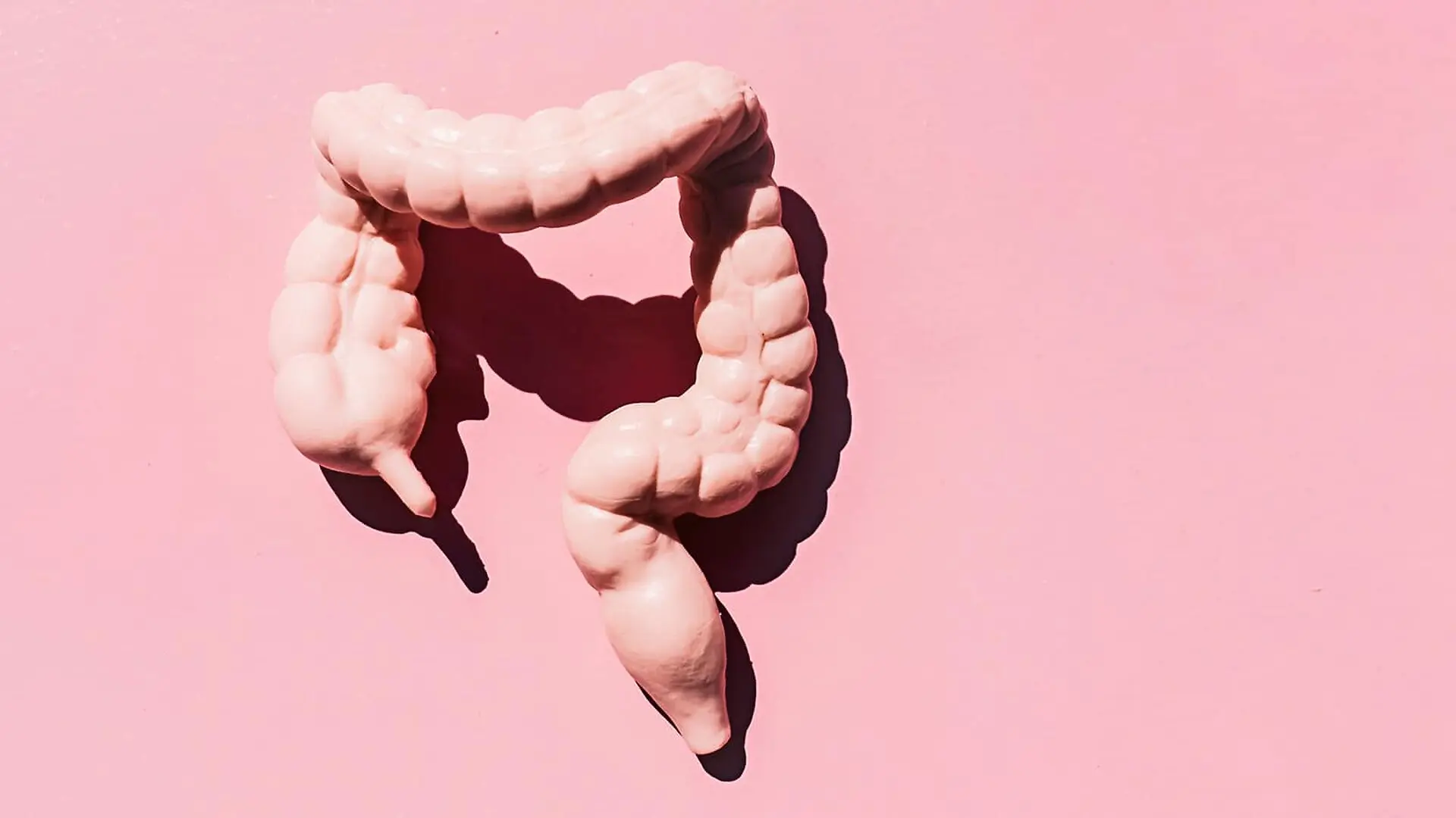 A minimal medical-style image shows a pink colon model isolated on a pastel pink background.