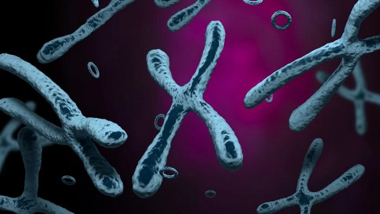 Retention elements, a hidden code, allow ecDNA to survive cell division and fuel rapid tumor growth.