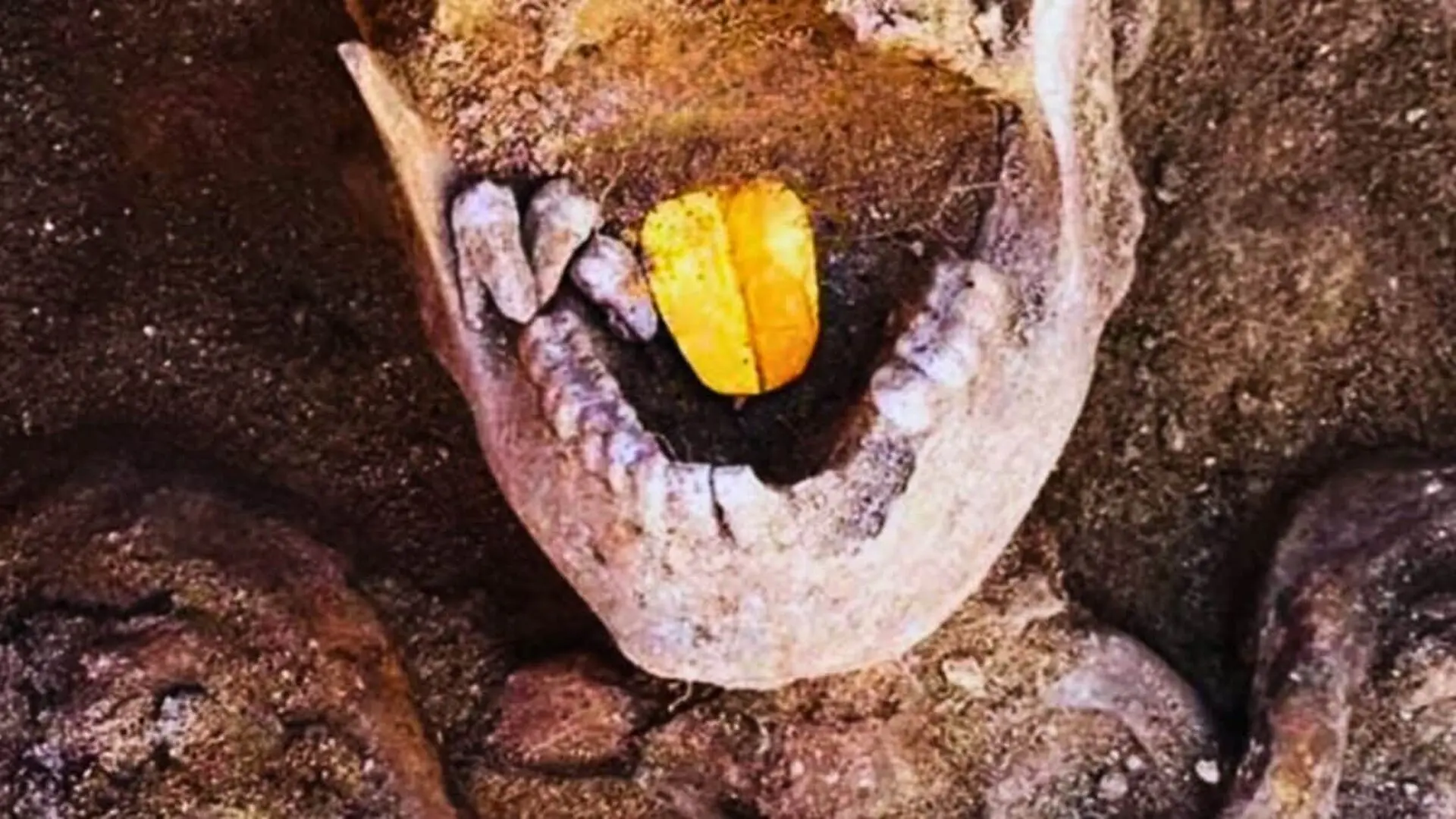 Egyptian Necropolis Reveals 13 Gold Tongued Mummies Scaled