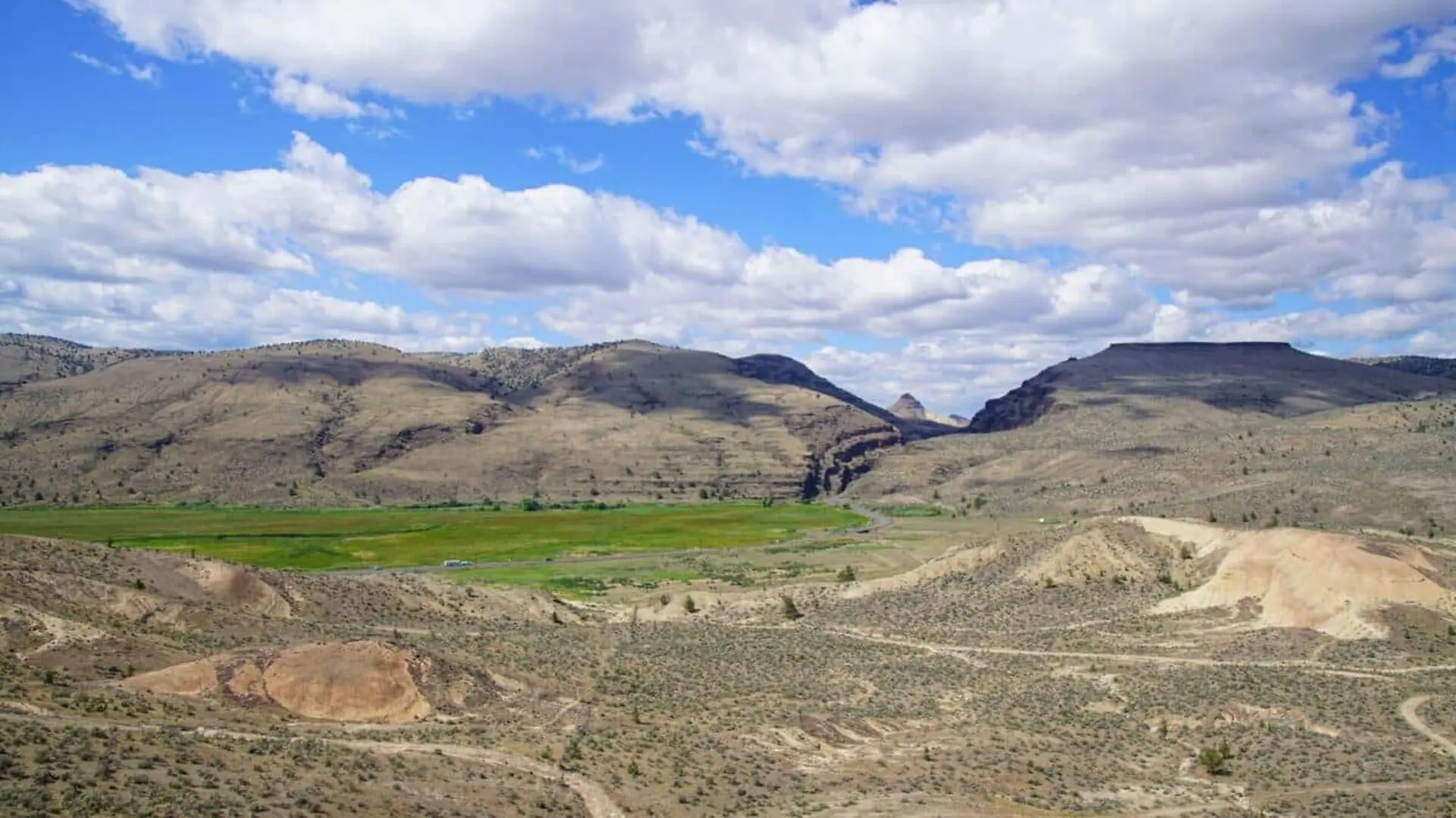 This Ancient Volcanic Deposit Preserved A Landscape Frozen In Time For 22 Million Years Scaled
