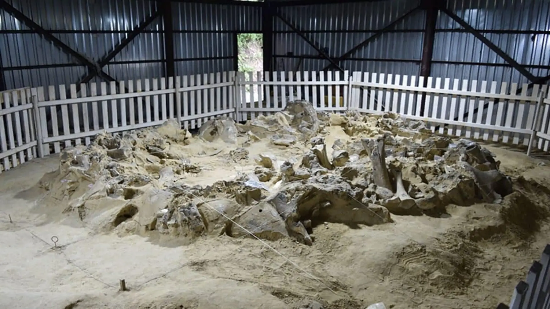 This Year Old House Was Built Entirely From Mammoth Bones And Its Older Than The Egyptian Pyramids Scaled