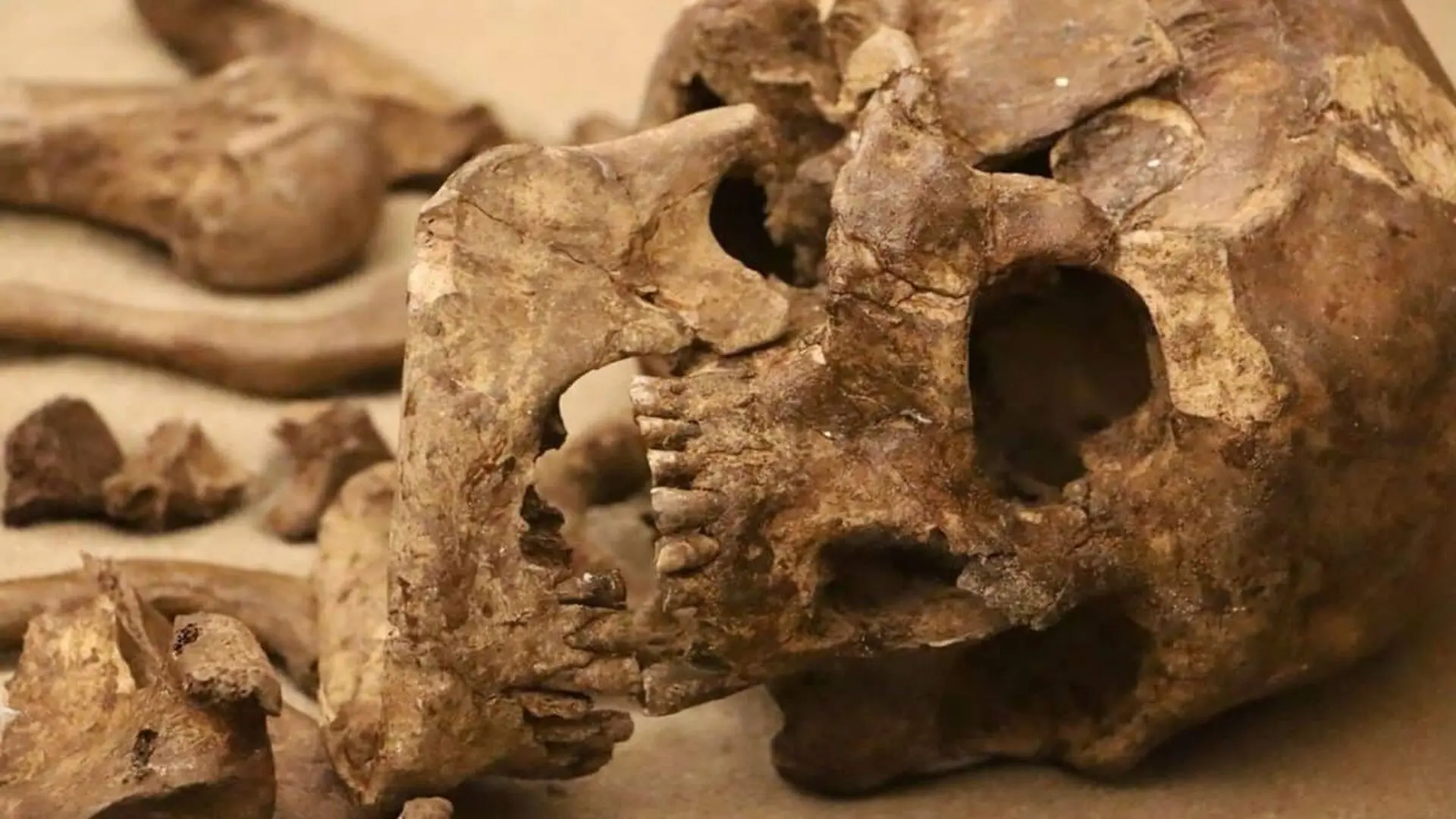 A Skull Rolled Down A Quarry Bank In. Its Iron Age Cemetery May Now Be The Third Largest Of Its Kind Scaled 1