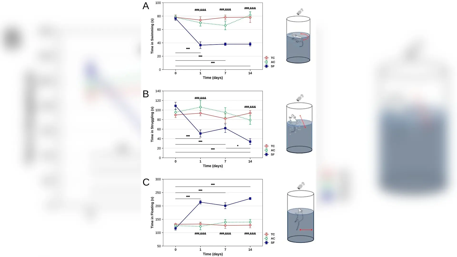 Chronic Sleep Disruptions Trigger Hormone Chaos and Depressive Behaviors in Study