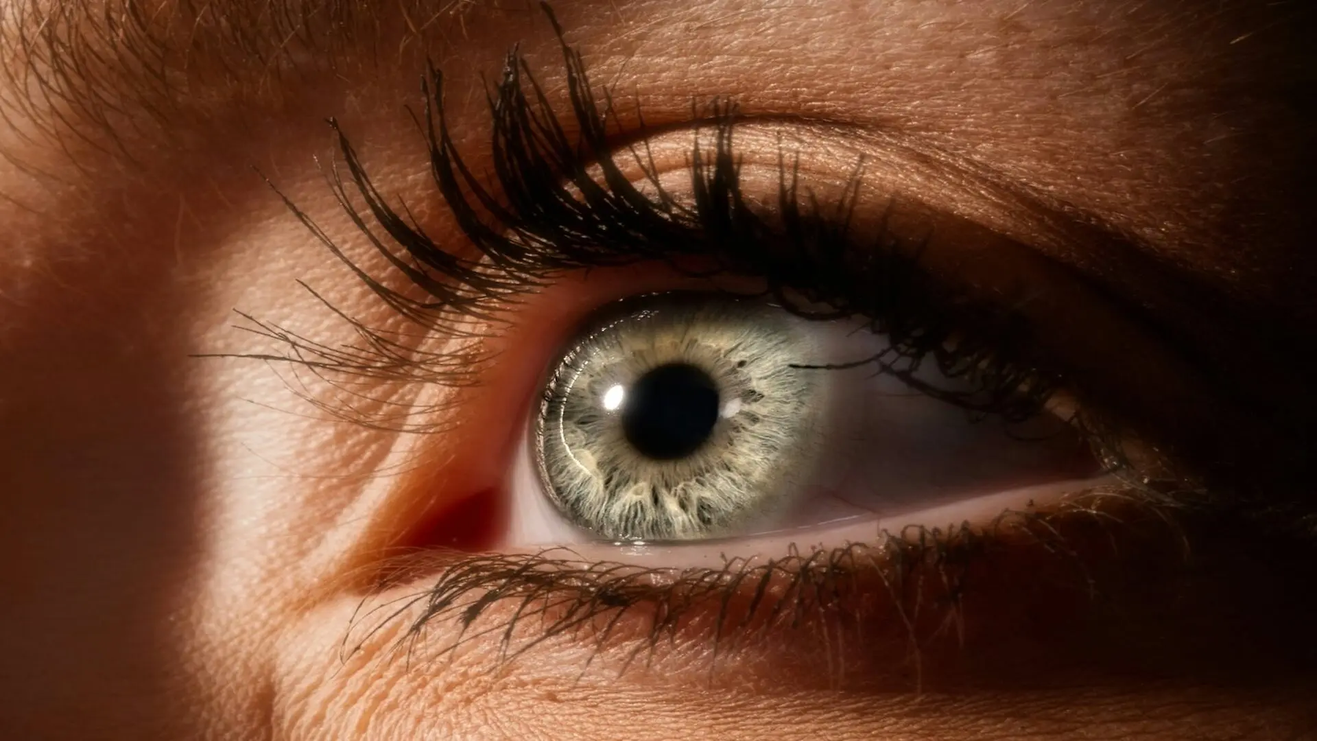 Close Up Image Of Eye