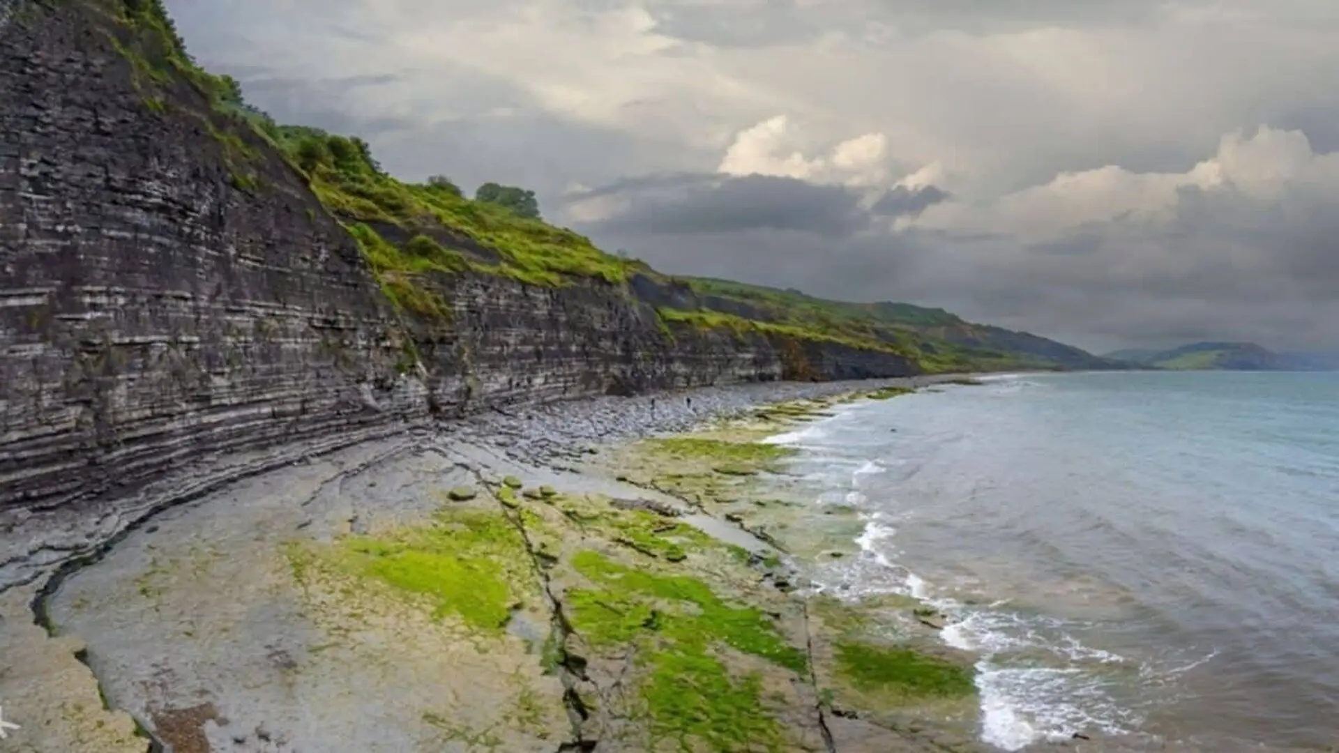 A Belgian Couple Spent 35 Years Searching A Dorset Beach And Finally Found A 33 Foot Sea Reptile Fossil Scaled