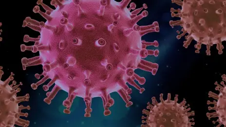 A detailed 3D illustration of a Nipah virus particle showing its spherical structure and the protein spikes extending from its surface against a dark background.