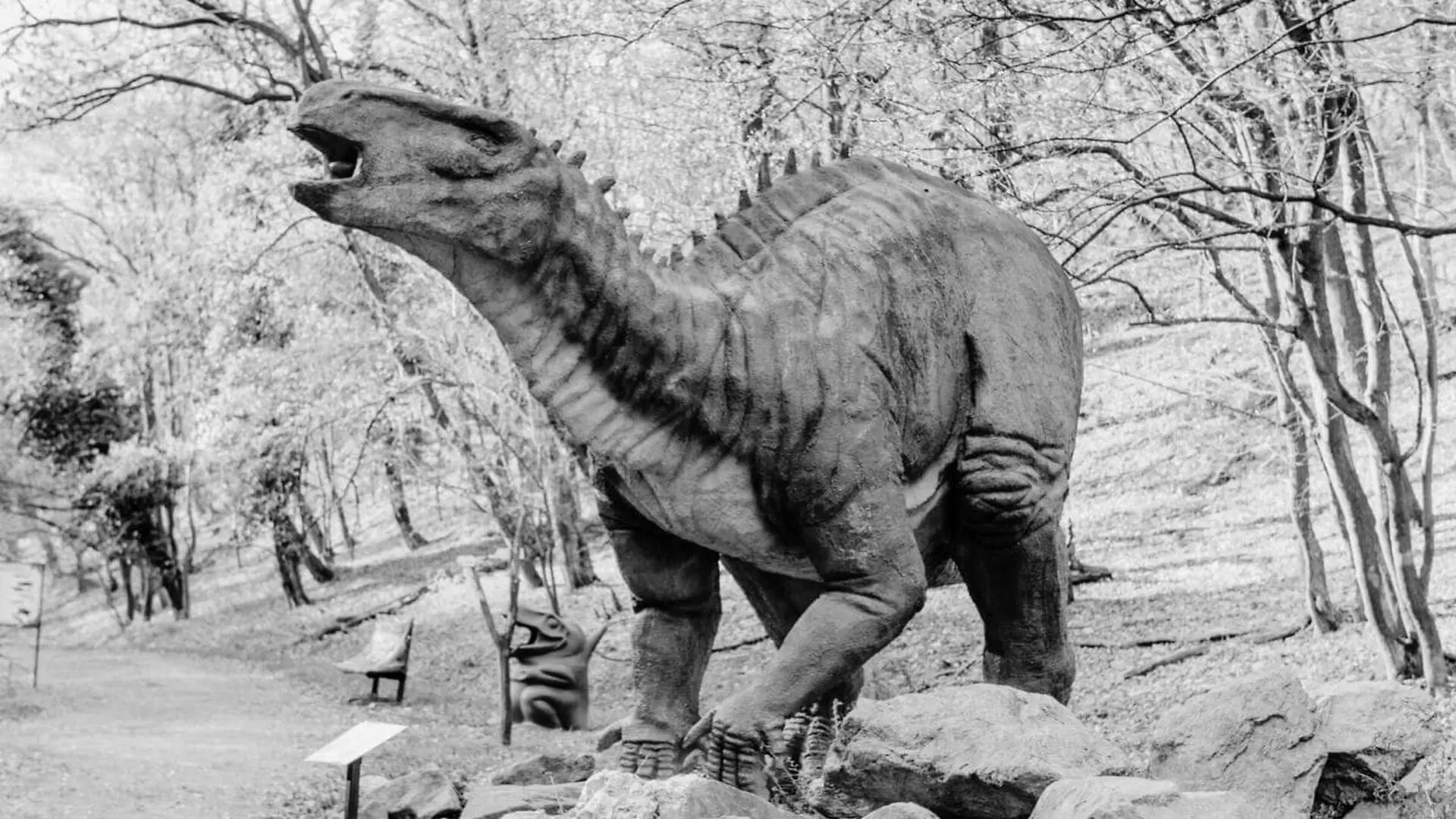 A Mysterious Fossil From Japans Coast Reveals A Surprisingly Small Dinosaur Scaled
