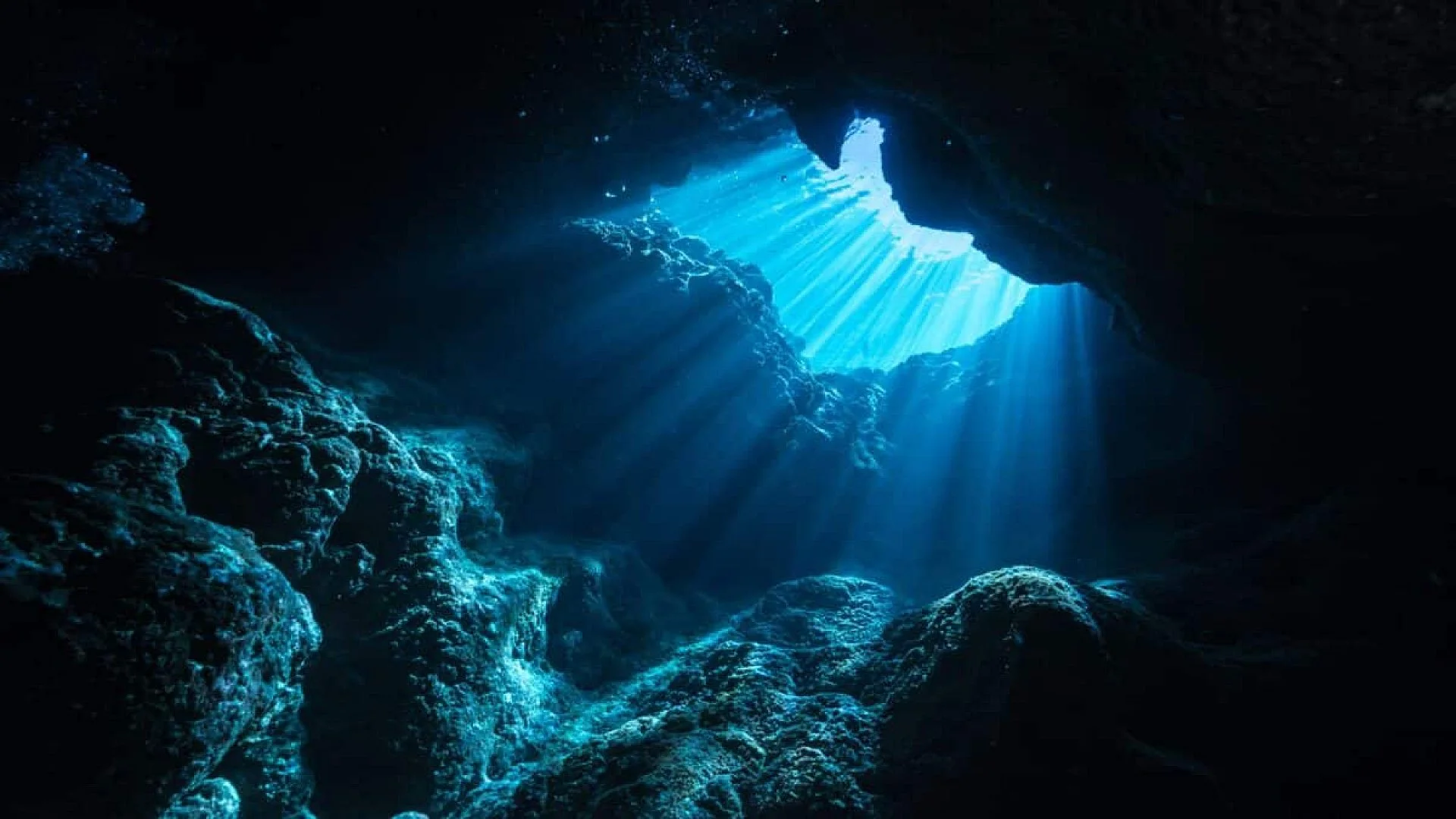Inside Underwater Caves Researchers Discovered More Than Species That Had Never Been Documented Before Scaled