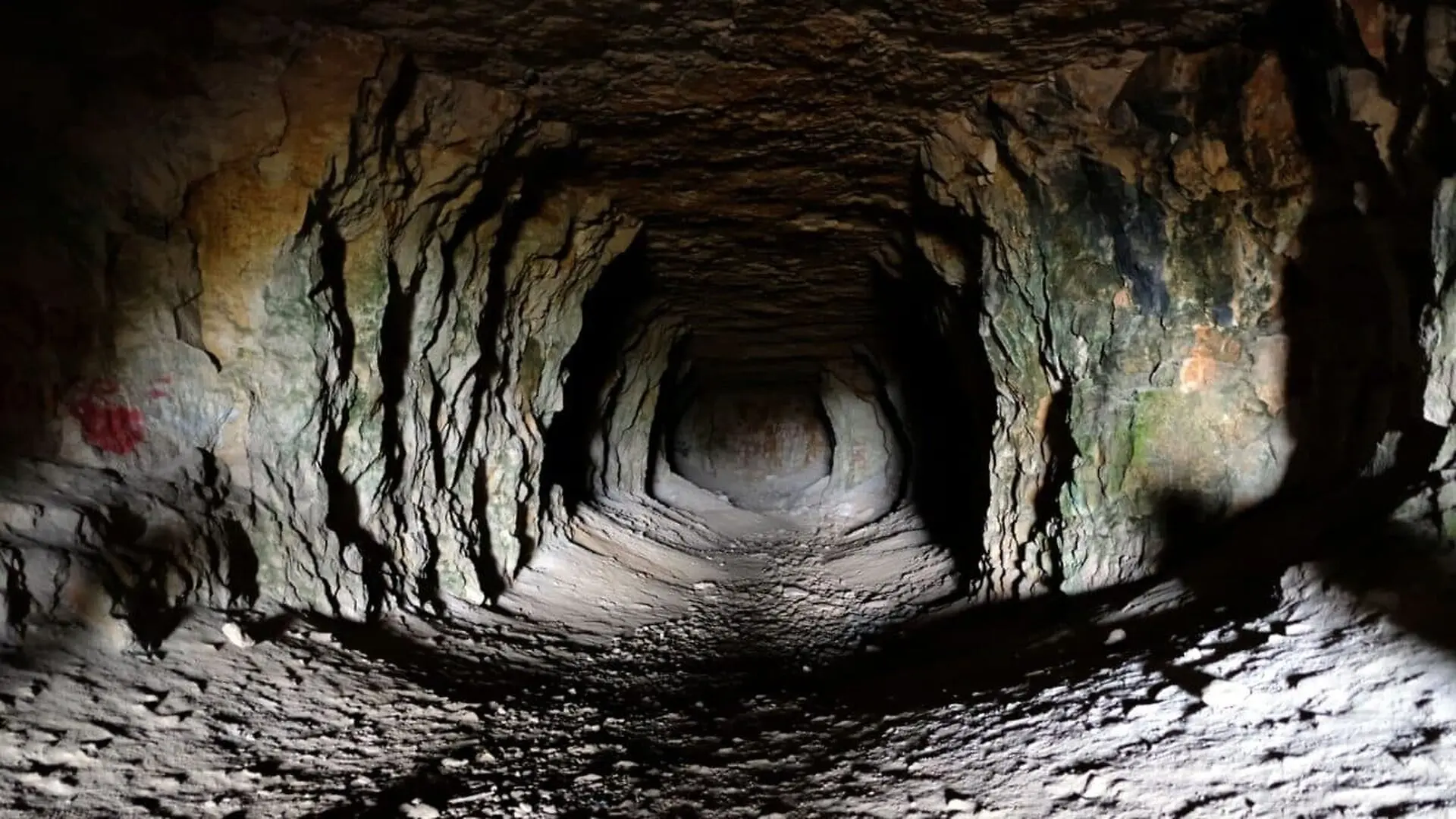 This Cave Was Sealed For 5.5 Million Years Scientists Finally Reveal The Strange Life Hidden Inside Scaled