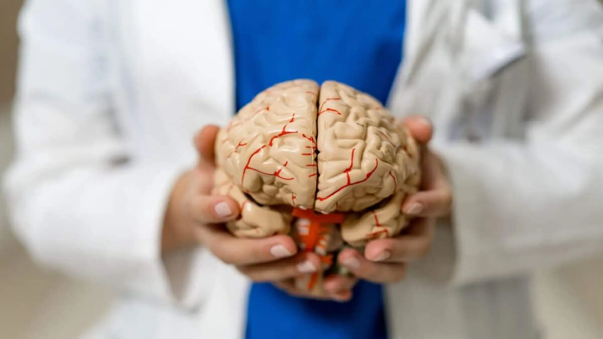 Earths Magnetic Field May Affect The Human Mind In A Way We Never Notice Scaled