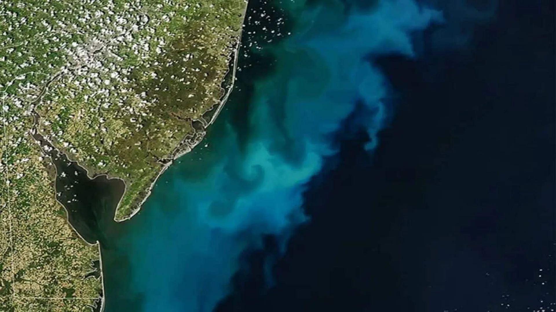 Nasa Spots Massive Blue Green Bloom Swirling Off The Us East Coast Visible From Space Scaled
