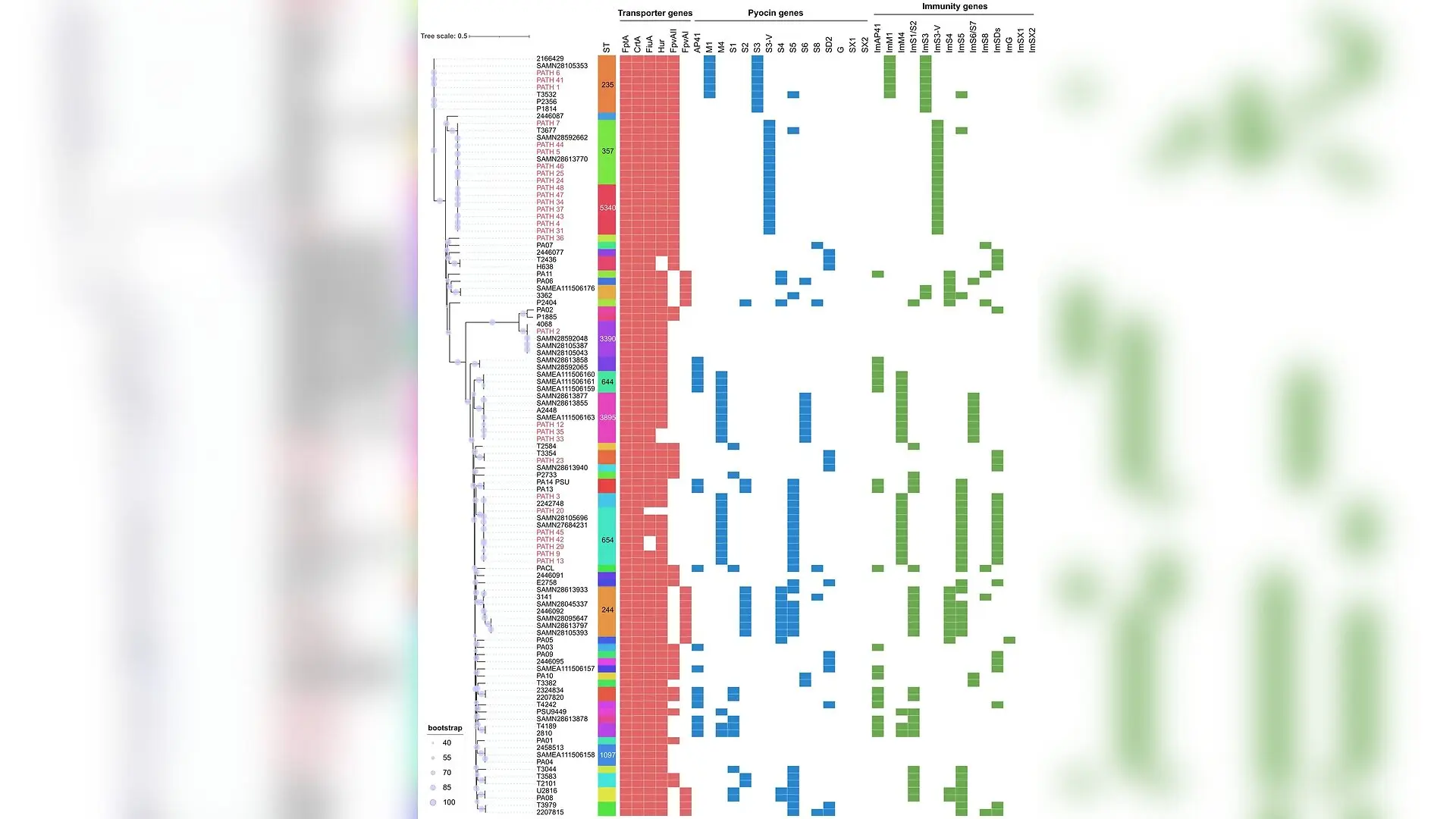 Natural Protein Antibiotics Destroy Drug-Resistant Superbugs