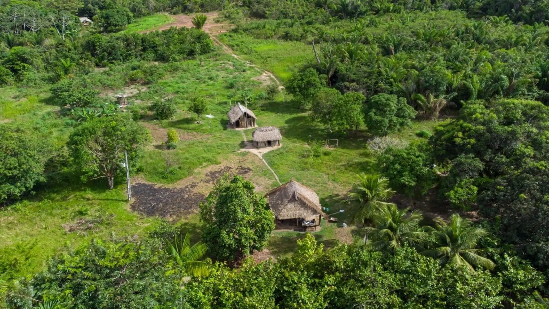 The Hidden Amazon Civilization That Built Thousands Of Structures And Disappeared Around The Maya Era Scaled