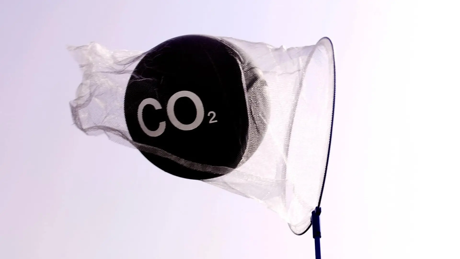 A net holds a black ball labeled 