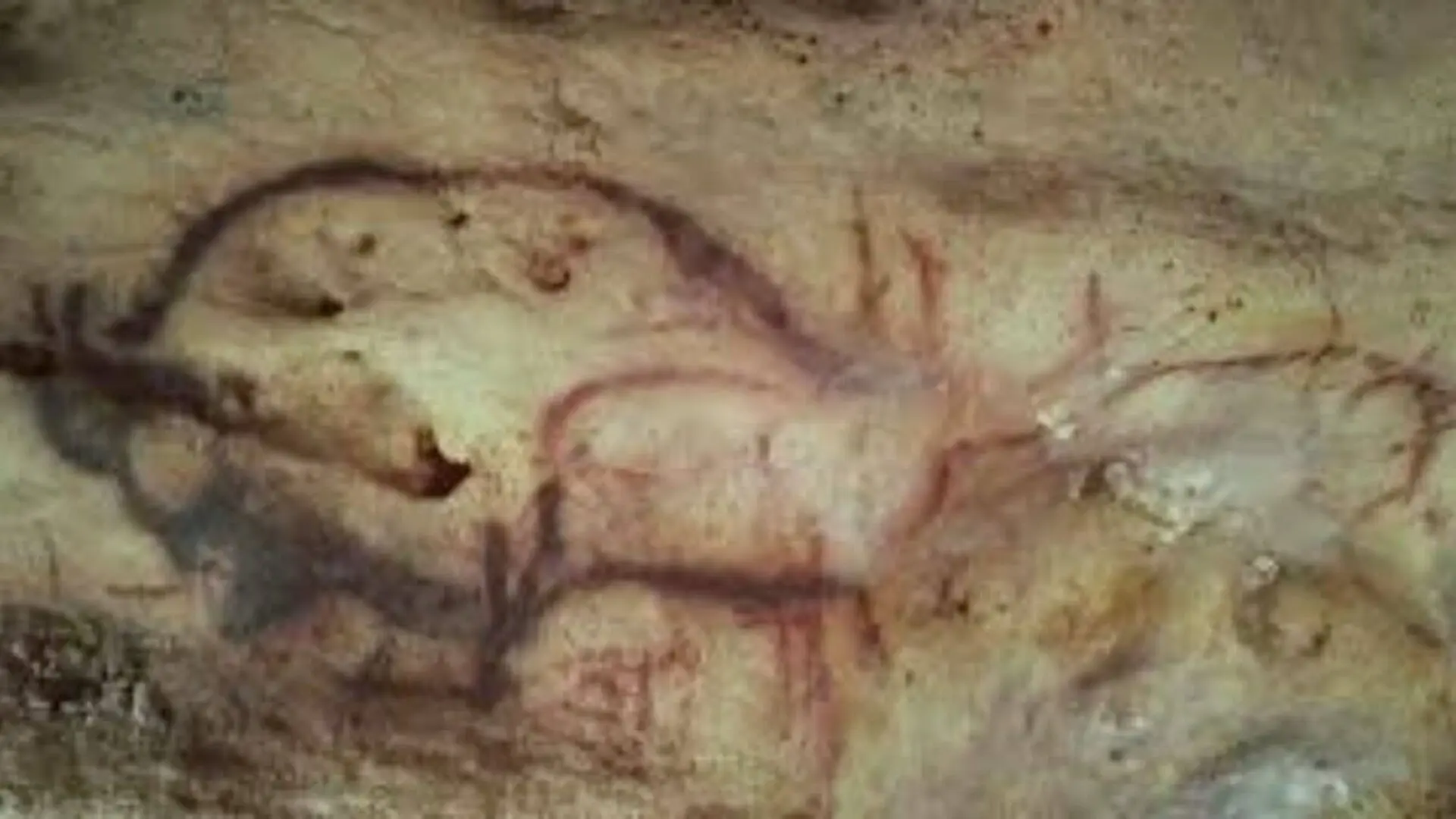Inside A French Cave Scientists Uncovered A Year Old Secret Hidden In Ancient Black Lines Scaled