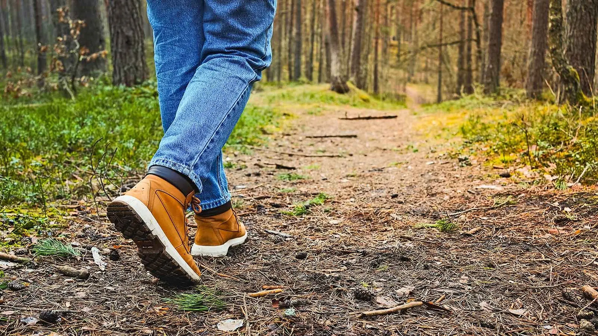 A person wearing jeans and hiking boots walks along a forest trail.