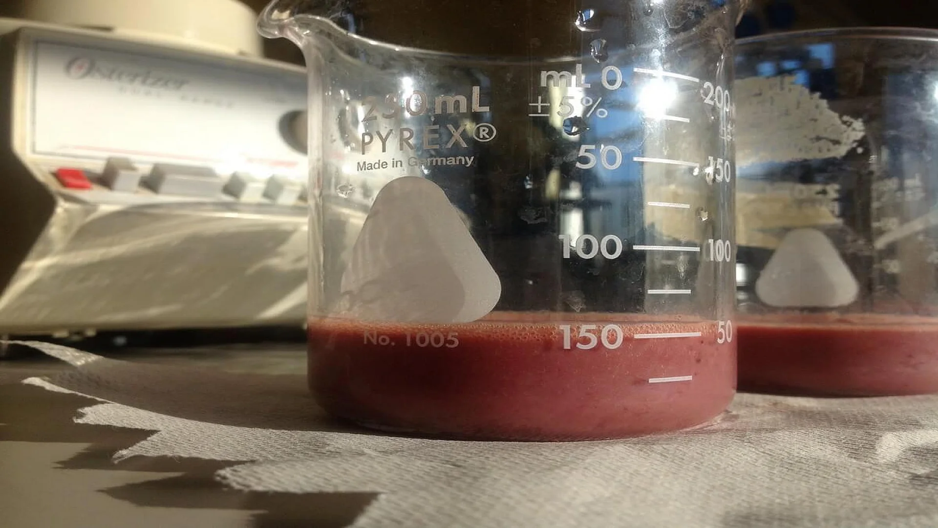 Liver Homogenate
