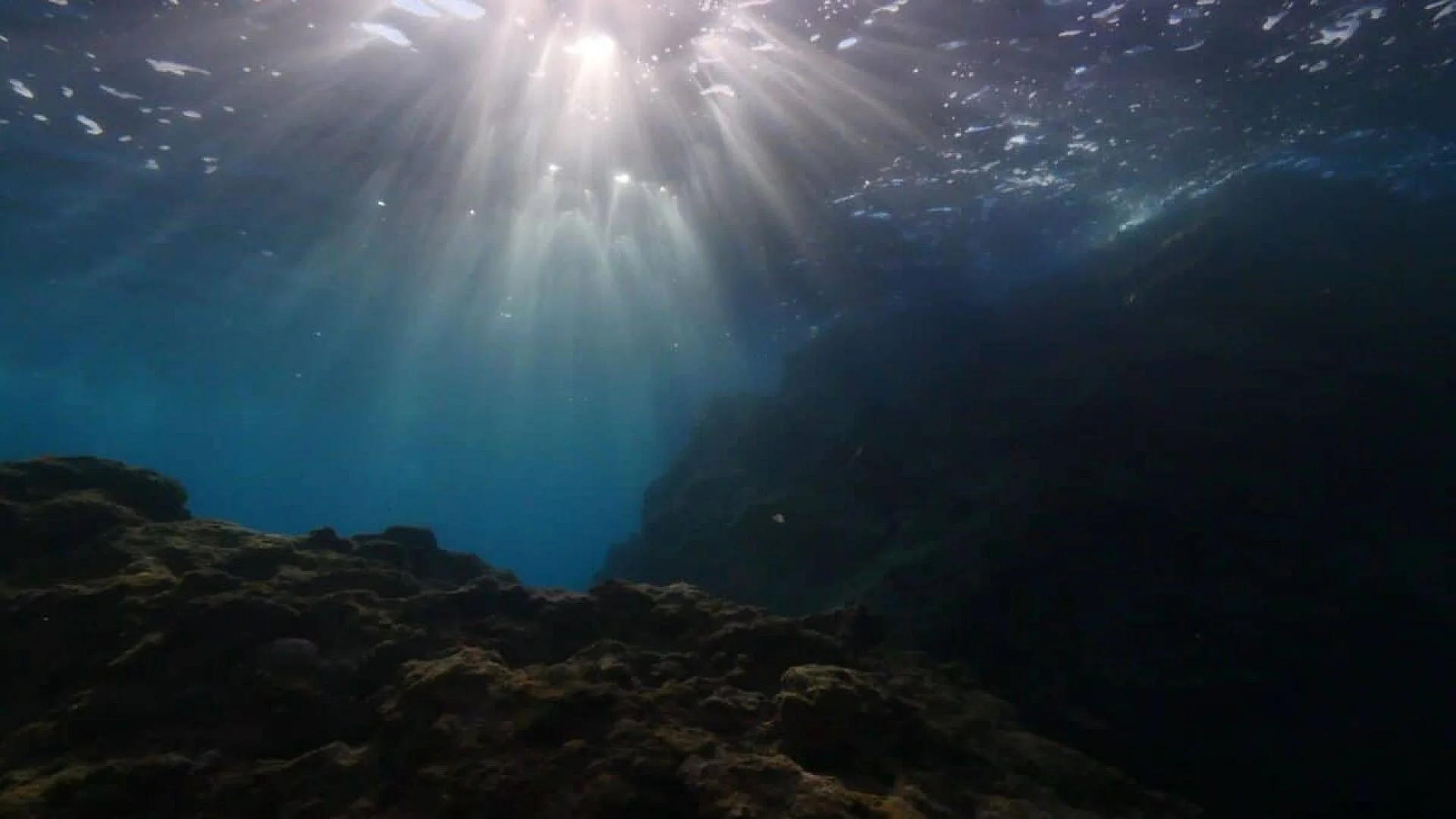 Scientists Discovered An Island That Vanished Beneath The Ocean Millions Of Years Ago And Its Contains Rare Earth Deposits Scaled